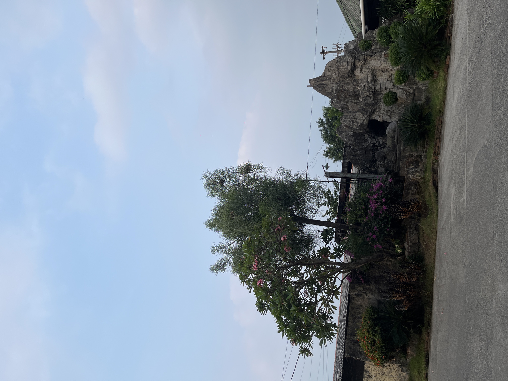 The image depicts a scene at the Museum Batik Pekalongan in Pekalongan, Indonesia. In the foreground, a paved road leads towards the museum's grounds. The museum itself features a man-made rock formation with an opening that resembles a cave or grotto. To the left of the rock formation, a stone sculpture of a reclining animal, possibly a tiger or lion, is visible. Surrounding the rock formation and sculpture are various types of greenery, including palm-like plants and flowering bushes with pink and purple blooms. A frangipani tree with pink flowers stands prominently on the left side of the image, with its branches reaching towards the sky. In the background, a low, tiled roof structure, likely part of the museum, is partially obscured by the vegetation. Overhead, power lines crisscross the sky, which is a light blue with scattered clouds. The overall impression is of a decorative garden area within a cultural institution.