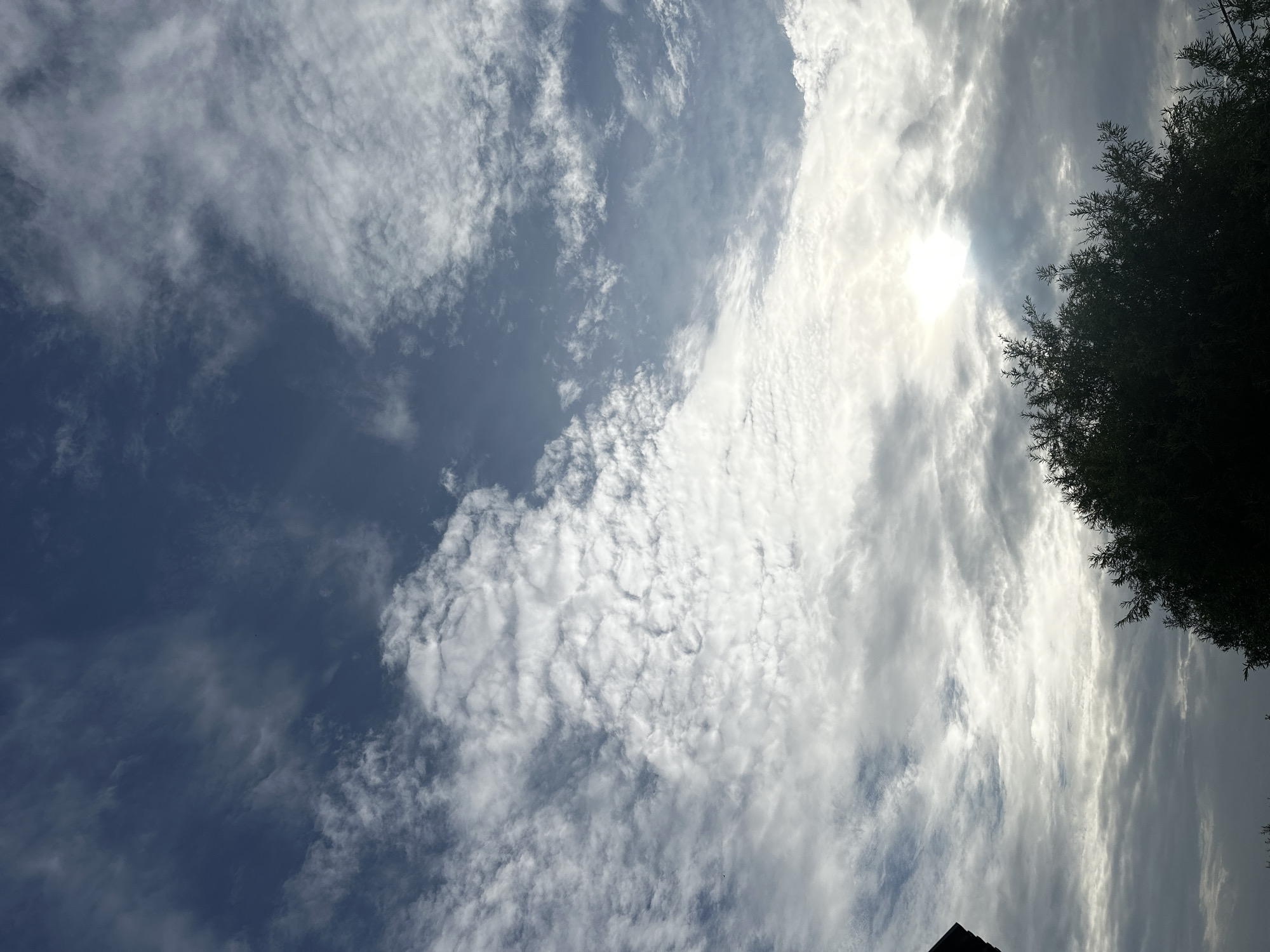 The image depicts a sky filled with various types of clouds, ranging from wispy cirrus formations to more textured cumulus clouds. The sun is partially obscured by clouds, creating a bright, diffused light source. In the foreground, a dark silhouette of dense foliage from trees or bushes occupies the bottom portion of the frame. The upper left corner shows a sliver of a dark, angular structure, possibly a building or rooftop. The scene appears to be outdoors. The location is described as Petropavlovsk-Kamchatsky, Russia, suggesting a potentially cool or temperate climate depending on the season.