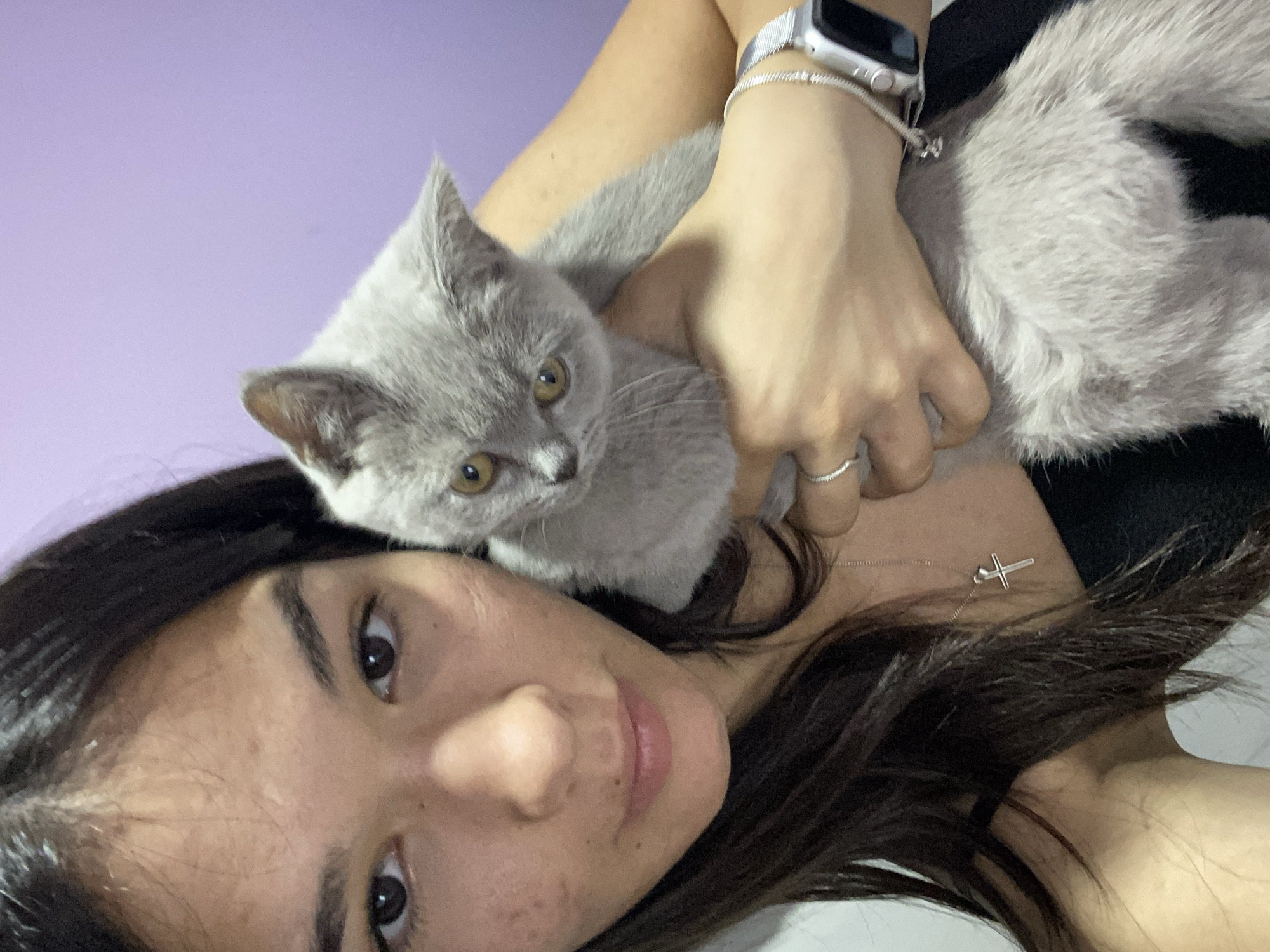 The image is a close-up, waist-up selfie taken indoors. A young woman with long dark hair is holding a grey kitten. The woman is looking at the camera. She is wearing a black top, a silver necklace with a cross pendant, a silver ring on her right ring finger, and a silver smartwatch on her left wrist. The kitten is nestled on her right shoulder, facing away from the camera and looking to the left. The background is a plain purple wall. No details about Sennik, Bulgaria are present in the image.