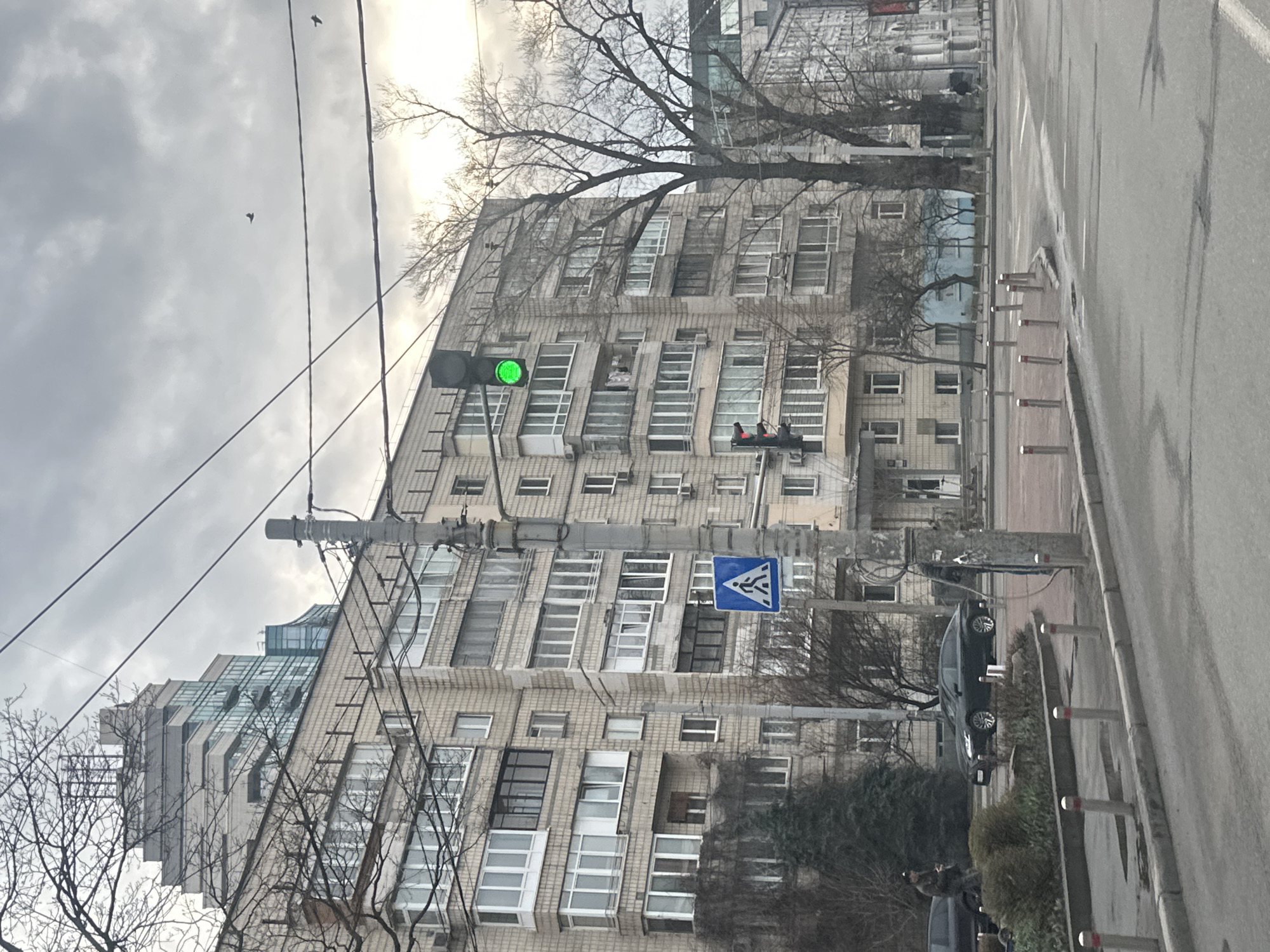 The image shows a street scene in Kyiv, Ukraine, on an overcast day. A tall, Soviet-era apartment building dominates the frame, its facade consisting of rows of balconies and windows. A traffic light displays green. Pedestrian crossing sign is on the utility pole. Bare trees are scattered throughout the scene. On the right side of the frame, there is a sidewalk with metal bollards. A car is parked beside the sidewalk. There are at least two birds flying overhead. One or more individuals are visible in the lower right of the frame.