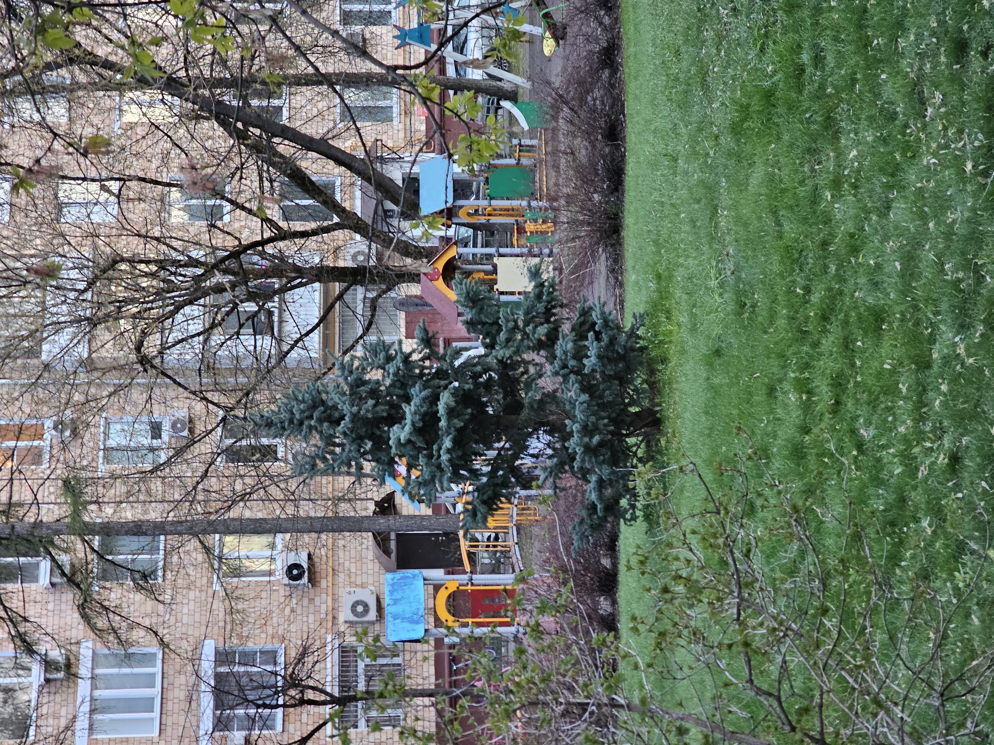 The image captures an outdoor residential scene, likely an apartment complex courtyard in Khimki, Russia. The foreground features a lush green grass lawn covering the right side of the frame, interspersed with some light-colored debris or fallen leaves. On the left side of the foreground and extending into the mid-ground are numerous bare deciduous tree branches, some showing early signs of green foliage, and various sparse bushes.
In the middle ground, a children's playground is visible, characterized by colorful equipment in shades of red, yellow, blue, and green, including slides, climbing structures, and possibly swings. Two dark green evergreen trees, likely spruce or fir, stand prominently in front of the playground, partially obscuring some of its elements.
The background is dominated by a large, multi-story brick residential building with numerous windows. Several white outdoor air conditioning units are mounted on the exterior walls of the building. The architectural style suggests an urban or suburban setting.
The scene appears to be set during daytime under overcast or soft lighting conditions, as there are no harsh shadows visible. No people are present in the image, and no discernible text is visible on any of the objects. The overall atmosphere is quiet and still, depicting an everyday urban environment.