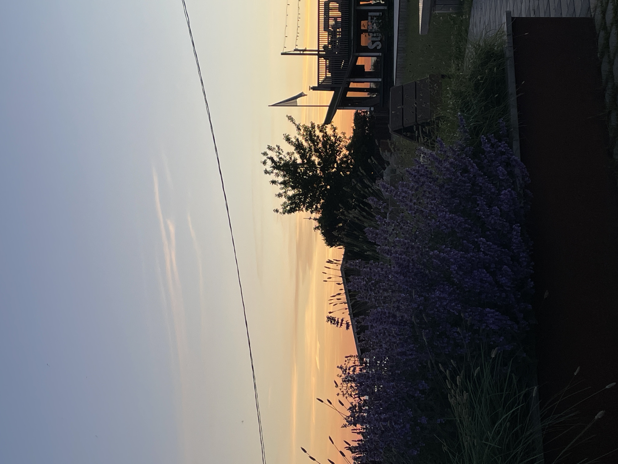 A low-angle, full shot captures a twilight scene of a coastal area, possibly a recreational waterfront, with a backdrop of a soft, gradient sky transitioning from pale blue to warm orange. In the foreground, a lush, dense bed of vibrant purple flowering plants, likely lavender, spills over the edge of a dark, rectangular planter. To the right of the flowers, tall, thin green grasses sway, their seed heads catching the light.
Behind the vegetation, a dark, low-profile building with a sloped roof is partially visible. Further back and to the right, a multi-level wooden structure, resembling a deck or playground, dominates the mid-ground. It features railings, stairs, and a flagpole with a white and blue flag. The structure is silhouetted against the bright sky. Adjacent to this structure is a dark-colored, small, A-frame wooden playhouse. A single bare tree stands to the left of the wooden structure, its branches reaching upwards. String lights are visible across the top of the wooden structure, though not illuminated. The ground appears to be paved with grey interlocking stones. A thin, dark power line stretches horizontally across the upper portion of the image, from the left edge towards the right. The overall impression is peaceful and serene, suggesting a developed outdoor leisure space as dusk settles.
While the scene is evocative of a place in Tallinn, Estonia, specific landmarks or identifying features within the image do not definitively confirm its location within the city.