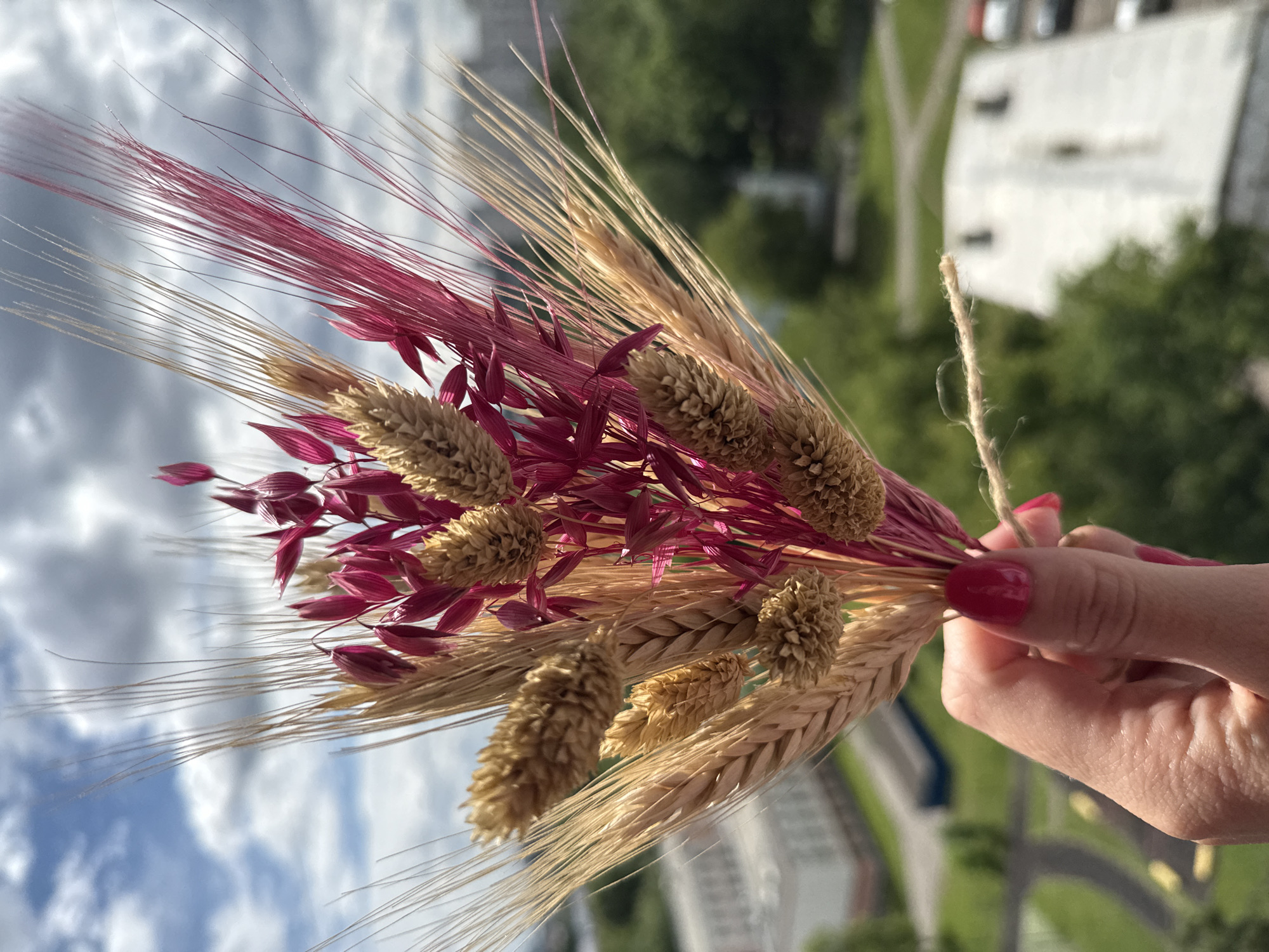 In a close-up, vertical, outdoor shot, a hand with bright pink nail polish holds a bouquet of dried wheat stalks and bright pink, spiky foliage. The bouquet is tied with twine and is positioned in the foreground, obscuring the lower portion of the hand and wrist. The background is softly blurred, revealing a cityscape with buildings, green trees, and a cloudy blue sky. The aerial perspective suggests the image was taken from a high vantage point, such as an apartment building. The architecture of the buildings in the mid-ground, characterized by their boxy shapes and muted colors, is consistent with residential structures commonly found in Moscow, Russia. The overall scene evokes a sense of natural elements contrasted with an urban environment.