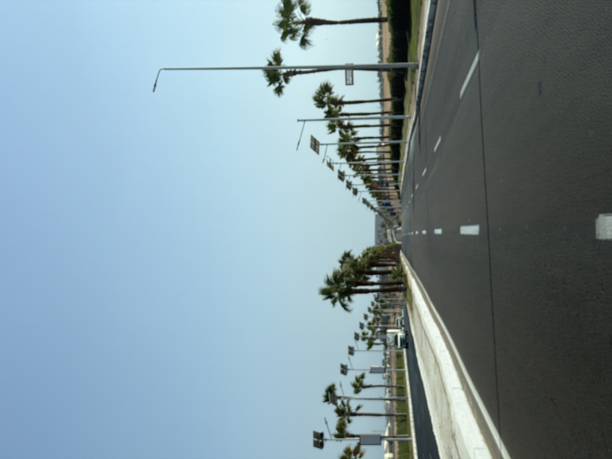 The image captures a perspective from a vehicle moving along a wide, paved road lined with palm trees on both sides. The road has clear white lane markings. On the left side of the road, there is a sidewalk with a white curb, followed by a row of palm trees and streetlights, some of which appear to have solar panels. Beyond the trees and lights, there is a grassy area and distant structures. On the right side of the road, there are more palm trees and streetlights, spaced further apart, with a field of dry grass or crops visible in the distance. The sky is clear and blue. In the middle distance on the left lane, a white truck is visible, with a smaller white car behind it. The overall scene suggests a well-maintained road in a warm climate, likely an area developed for tourism or residential purposes. This scenery is typical of resort areas such as Sharm El Sheikh, Egypt, known for its palm-lined streets and sunny weather.