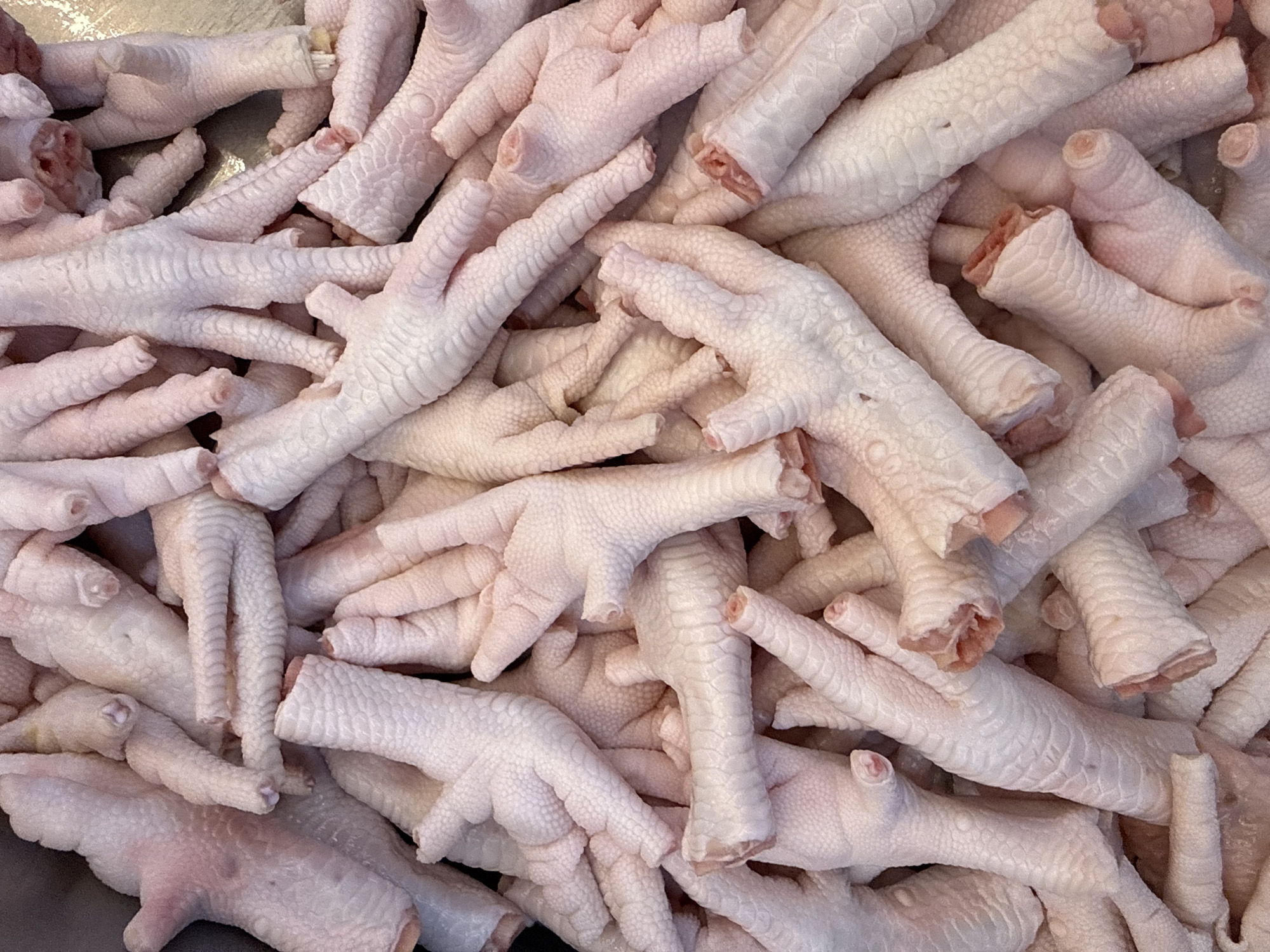The image shows a close-up view of a pile of raw chicken feet. The feet are pale pink and white, with visible scales and claws. The ends of the feet are cut off, revealing the bone and tissue inside. The scene is indoors, possibly in a market in Bangkok, Thailand, where chicken feet are a popular ingredient in local cuisine.