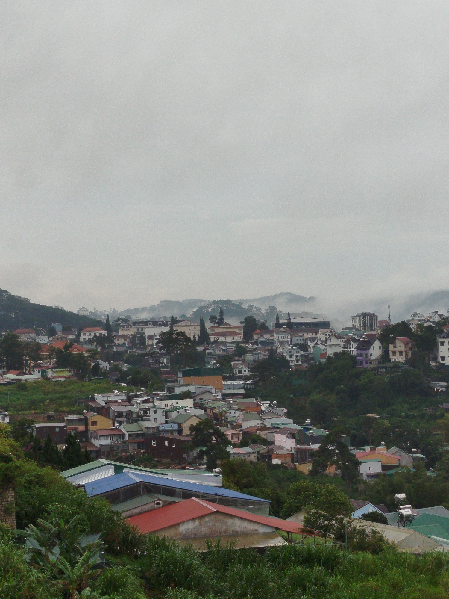 The image depicts a dense hillside town with a variety of houses and buildings nestled amidst lush green trees. The architecture is a mix of styles, with many houses featuring pitched roofs in colors ranging from red and orange to blue and green. Some larger, more modern buildings are interspersed with the residential structures, including one with a prominent dark, multi-story facade and another with white walls and a flat roof.
The landscape is characterized by rolling hills, with a hazy, overcast sky that suggests a cool or damp climate. The foreground is dominated by dense green foliage, including banana trees and tall grasses, obscuring the lower parts of some buildings. In the middle ground, the town sprawls across the slopes, with a dense network of roads and structures. The background features more hills, partially shrouded in mist, adding depth to the scene and creating a sense of distance.
The overall impression is of a residential area in a hilly, possibly mountainous region. The lack of visible people or activity suggests a quiet, perhaps early morning or late afternoon setting. The image captures the architectural and natural characteristics of a town built into a challenging, verdant terrain. Given the distinctive architecture, greenery, and hilly terrain, this scene is highly characteristic of Da Lat, Vietnam, a popular tourist destination known for its cool climate and European-influenced architecture.