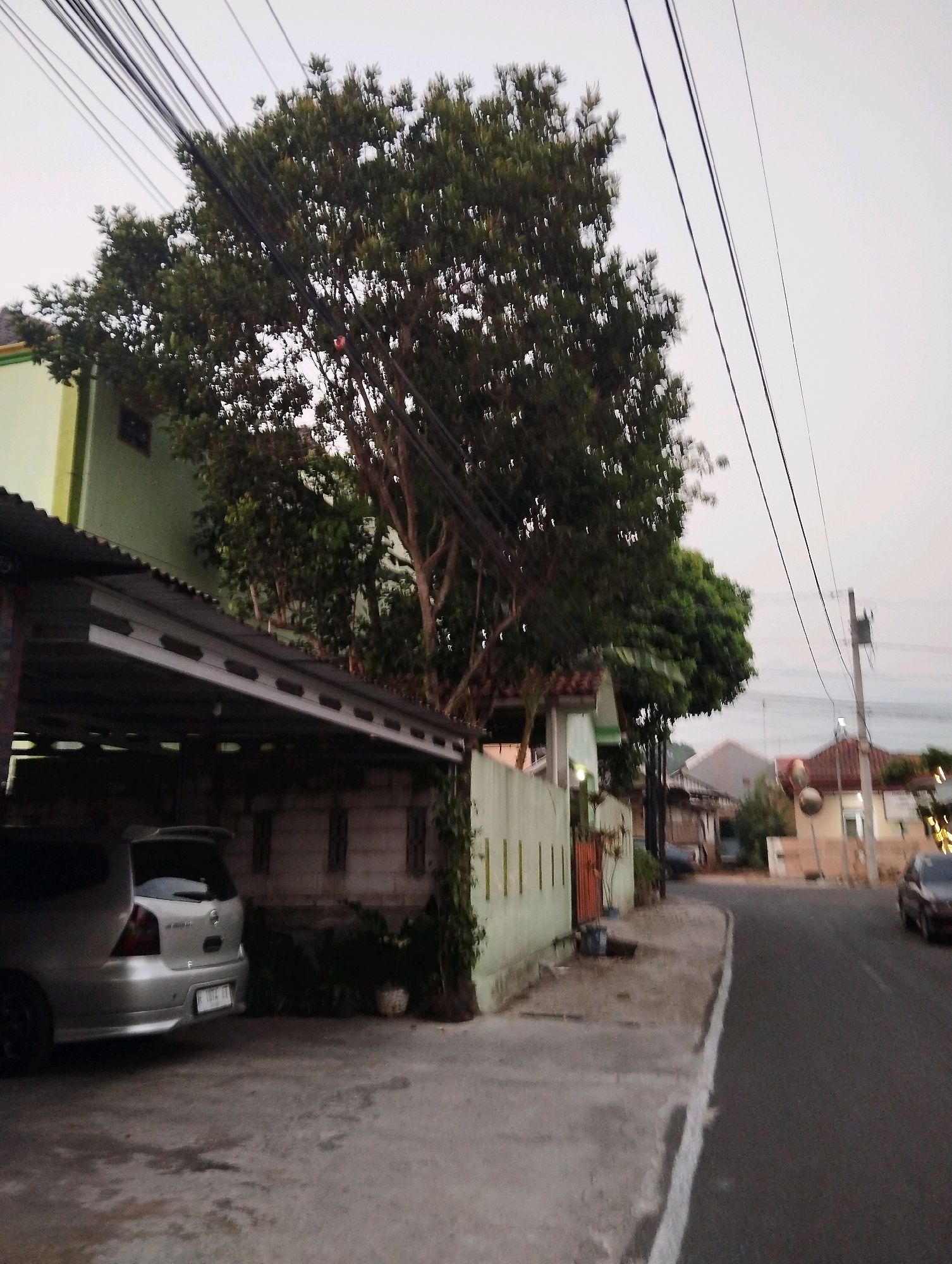 The image shows a residential street in Salatiga, Indonesia. A silver minivan is parked under a carport. A large tree with dense foliage is situated in front of a light green house. Power lines are visible overhead. The street is paved and bordered by a sidewalk and a low wall. Houses and other vegetation are visible in the background, suggesting a suburban or semi-rural setting. The sky is overcast, indicating it may be dusk or a cloudy day.