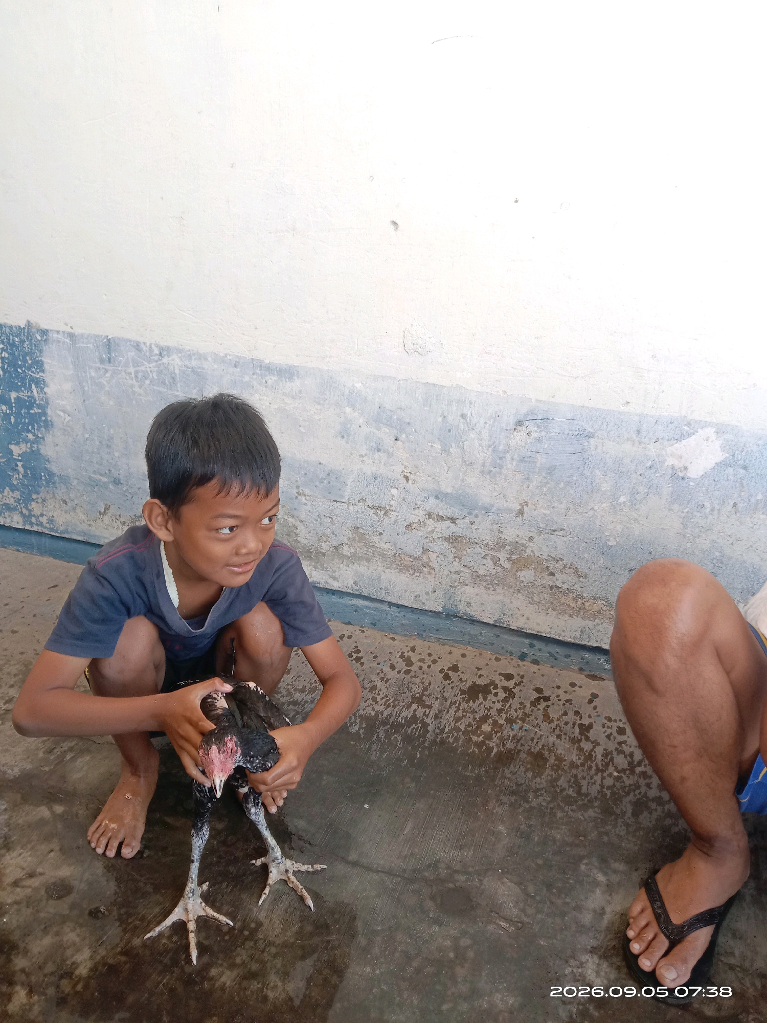 A young boy in a dark blue shirt squats on a wet, concrete floor, holding a black and white chicken. The boy is looking to his right. Another person's legs, wearing a black flip-flop, are visible on the right side of the frame. The background consists of a white wall with a blue stripe near the bottom. The scene appears to be an outdoor or semi-outdoor area, possibly a yard or a covered walkway, in Banyuarang, Indonesia. The timestamp on the image reads "2026.09.05 07:38".