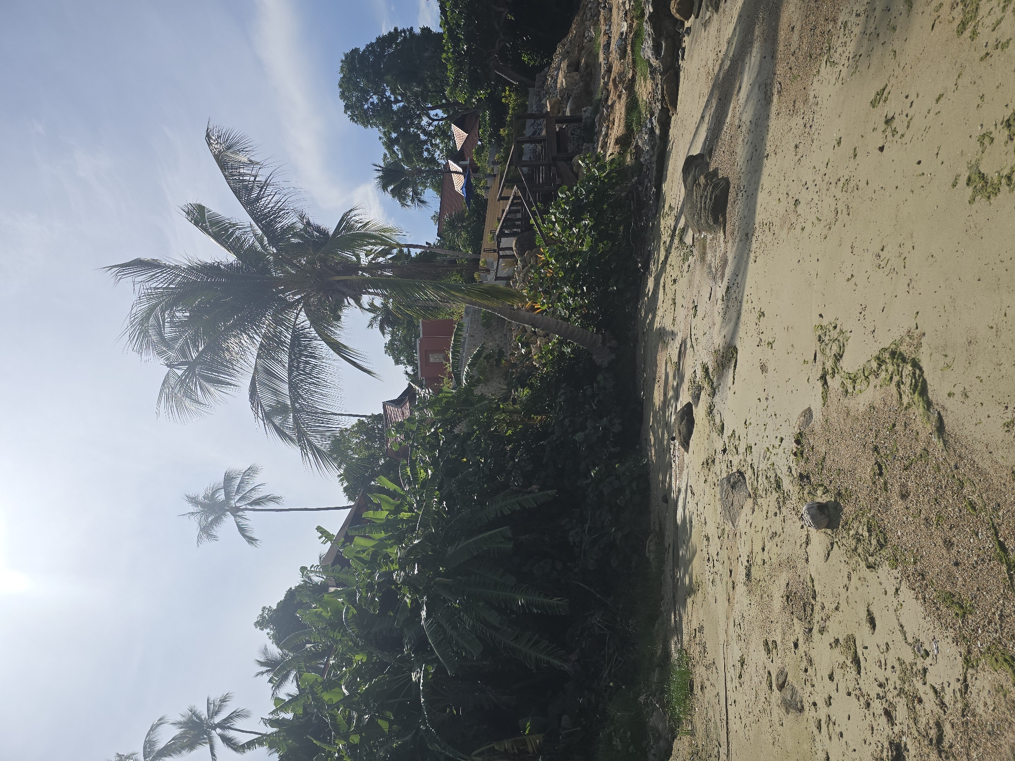 The image depicts a serene beach scene in Baan Chaweng Noi, Thailand. The foreground is characterized by a sandy beach with scattered rocks and patches of green algae. In the mid-ground, a lush green hillside is covered with dense vegetation, including large-leafed plants and palm trees. A wooden staircase ascends the hill, leading to several red-roofed buildings nestled amongst the trees. In the background, the bright sun shines through a partly cloudy sky, casting shadows on the beach. The overall impression is one of tropical tranquility and natural beauty.