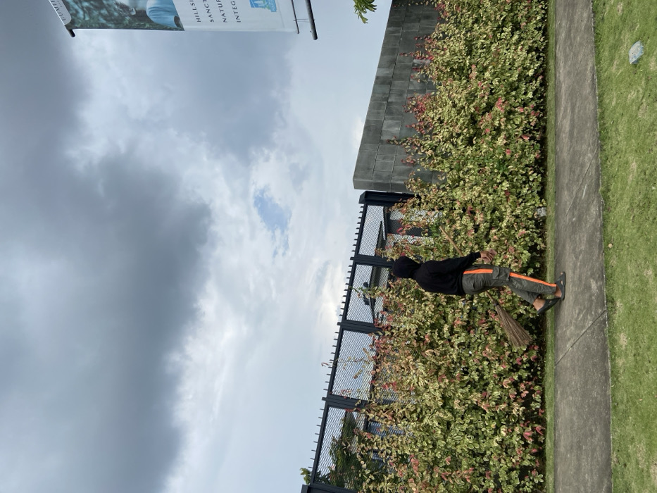 The image depicts a man wearing a black hooded sweatshirt and orange and green pants, holding a broom and walking away from the camera on a sidewalk. He is walking on a sidewalk in front of a large, dense hedge. The hedge is growing against a grey concrete wall. A black metal fence separates the wall from a green grassy area. Above the wall, a large billboard is visible. The sky is overcast with clouds. The scene is set in Padalarang, Indonesia, at the coordinates -6.865 latitude and 107.46 longitude. The man appears to be sweeping the sidewalk. The image was taken from the perspective of someone standing behind and slightly to the left of the man. The image is likely taken with a smartphone.