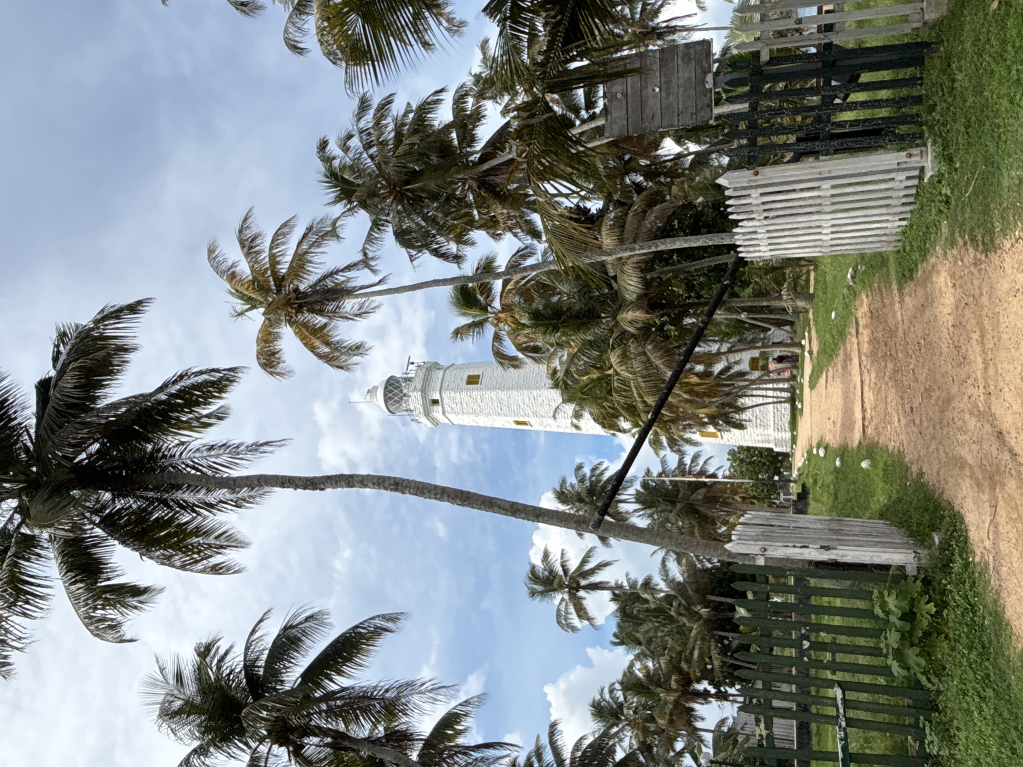The image shows the Dondra Head Lighthouse in Dondra, Sri Lanka. It is framed by palm trees against a cloudy sky. A dirt path with a wooden fence runs along the right side of the image, leading toward the lighthouse. A powerline cuts across the frame in the foreground. No people are visible.