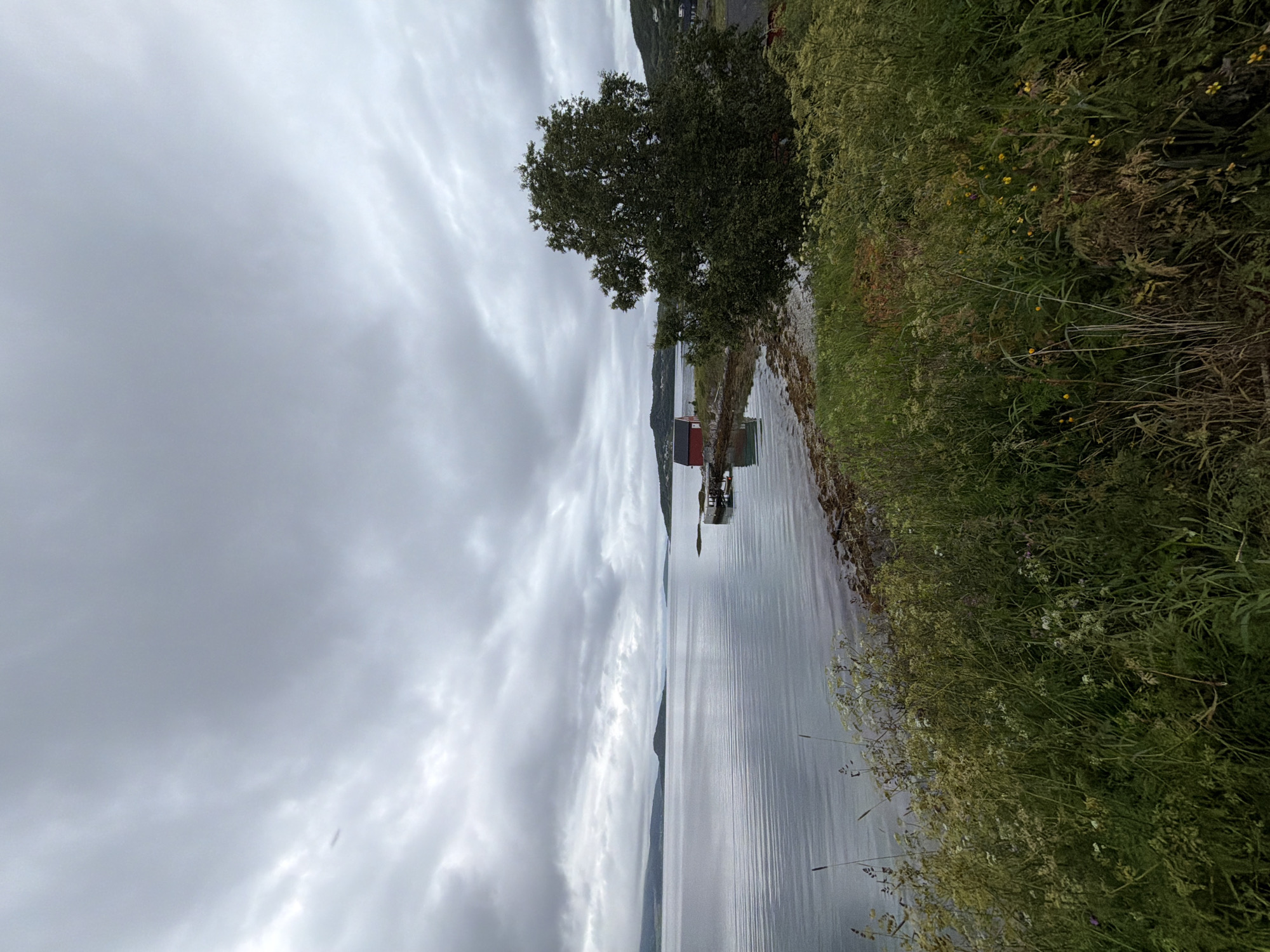 The image depicts a serene waterside scene under a cloudy sky in the vicinity of Harstad, Norway. The foreground is dominated by lush, green vegetation and wild flowers, with tall grasses and smaller plants in bloom. To the left, the calm, grey water of a fjord or bay stretches towards distant, rolling hills and islands, softened by the overcast conditions. On the right side of the water, a small, red boathouse with a white-trimmed roof sits on a rocky outcrop, accessible by a wooden jetty. A large, leafy green tree stands to the right of the boathouse, its branches partially obscuring the view of the landscape behind it. The overall atmosphere is peaceful and natural, typical of the Norwegian coastline. There are no people visible in the image.
