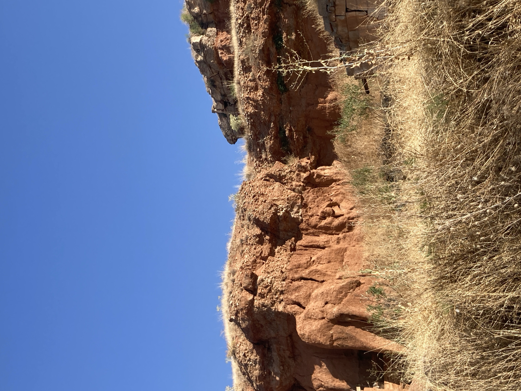 A wide, low-angle shot captures a rural landscape under a clear, bright blue sky. The foreground is dominated by dry, golden grasses, some reaching waist-high, interspersed with sparse, thin, pale-green plants. In the mid-ground, a series of dramatic, layered red-rock formations rise. These formations display textures of rough erosion and appear to be part of a canyon or badlands. Smaller green plants and bushes are visible growing in crevices and on ledges of the rock faces. To the far right, a crumbling stone structure, possibly ruins, is partially visible amongst the dry vegetation. The overall scene suggests a dry, arid environment.