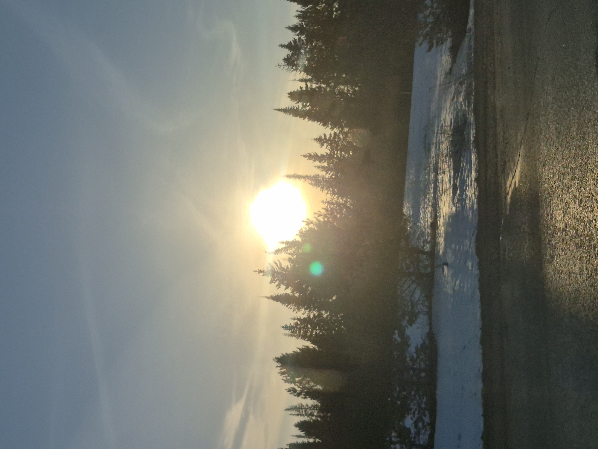 The image shows a sun setting behind a line of trees, possibly evergreen, casting a bright glow. To the right of the trees, there appears to be a road or paved surface with some icy or snow-covered patches. The sky is a gradient of pale blue to yellow near the horizon. The location is likely near Нечкино, Russia.