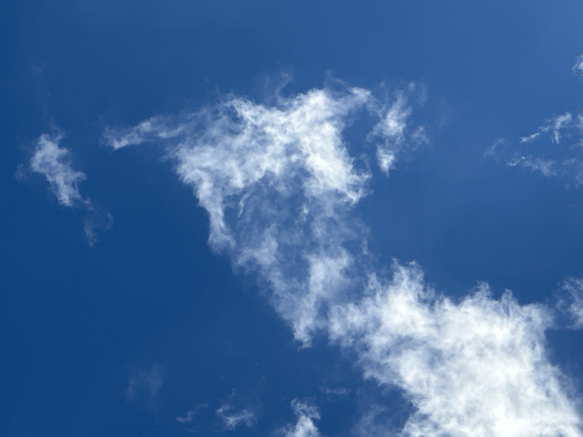 The image is a close-up, vertically oriented, natural light photograph of a clear, bright blue sky with scattered white cumulus clouds. The clouds are wispy and appear to be thin, with some areas showing more density and texture than others. There are no buildings, people, or other objects visible in the frame. The scene depicts a typical daytime sky.
There is no information in the image that allows for the determination of its location within the city of Luhansk, Ukraine, or any other specific geographic location.