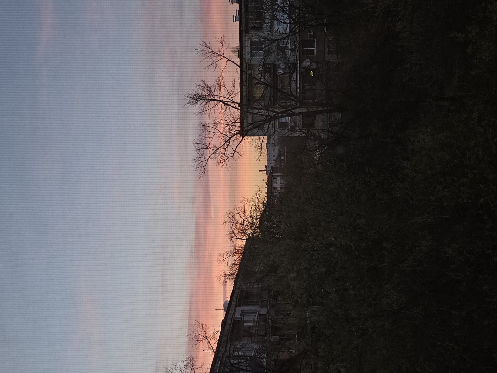 The image shows a cityscape at dusk in Plovdiv, Bulgaria. The sky transitions from a pale blue to pink near the horizon, indicating either sunrise or sunset. In the foreground, there is a dense cluster of bare trees and foliage, obscuring much of the ground. In the middle ground, several buildings can be seen. Some are older, with visible signs of wear and tear, like peeling paint or crumbling facades. A few bare trees are visible near the buildings, their branches stark against the colorful sky. Some windows of the buildings are illuminated, suggesting that people are inside. The overall atmosphere is one of urban decay juxtaposed with natural beauty. There is no evidence of people in the image.