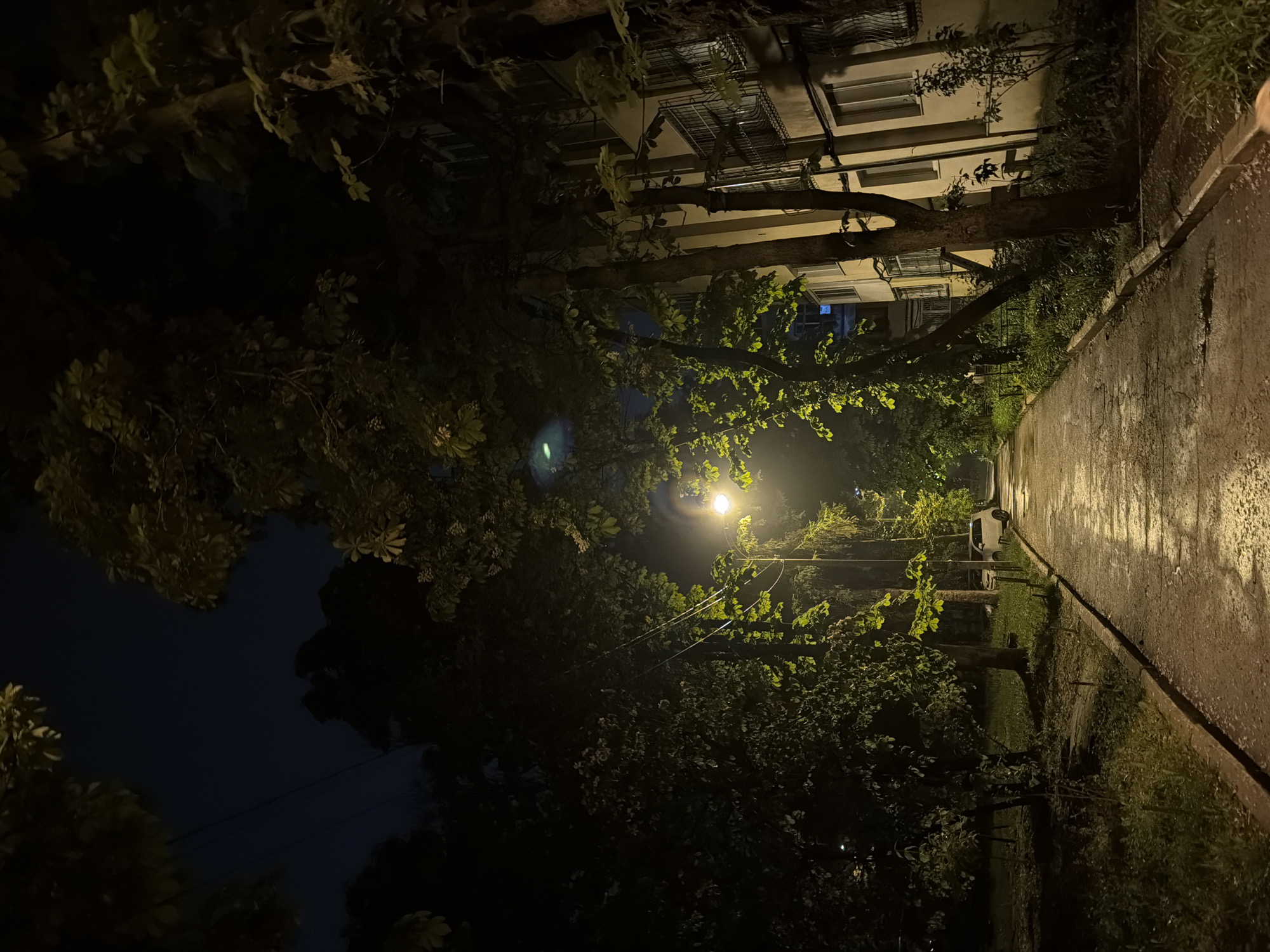 The image shows a street scene at night in an urban environment. A wet asphalt sidewalk runs along the right side of the frame, reflecting the light from a street lamp that is partially obscured by tree branches. To the left of the sidewalk is a grassy area with trees and bushes, adding to the density of the image. The sky is dark, and the street lamp provides the primary source of light, casting shadows and highlights across the scene. In the background, a multi-story building is visible, with lit windows adding to the urban context. A white car is parked at the edge of the road on the right side of the image.