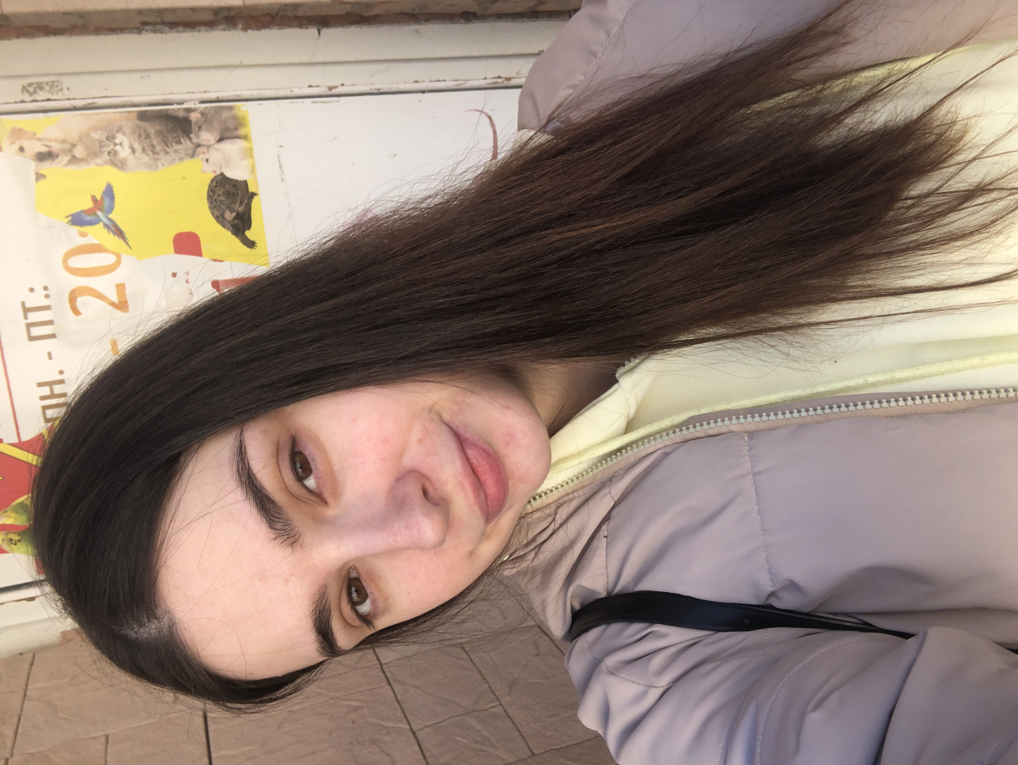 A young woman with long, dark brown hair, light skin, and brown eyes poses for a close-up selfie. She has a slight smile. She is wearing a light yellow hooded sweatshirt under a light purple puffer jacket with a black strap visible across the chest. Behind her are a white wall or door with a poster featuring pictures of animals (cats, rodents, a bird) and Russian text including the number "20". The ground appears to be tiled. The location is Noviy, Russia.