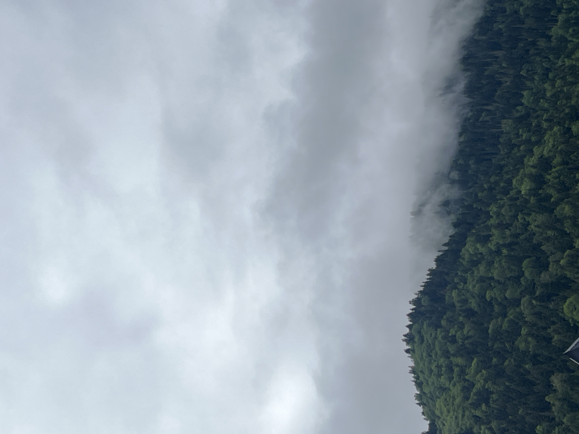 The image shows a forested mountainside with a thick canopy of evergreen trees under a cloudy sky. The clouds are heavy and gray, obscuring the upper portions of the mountains and lending a somber mood to the scene. Some wisps of fog or low-lying clouds are visible clinging to the slopes, partially obscuring the dense foliage. The trees are a vibrant green, suggesting a lush environment, possibly a temperate or alpine region. The overall impression is one of natural beauty and perhaps a touch of mystery due to the obscured visibility. The scene is devoid of human presence or any man-made structures, emphasizing the wild, untamed character of the landscape. The location is identified as being in the city of Tba, Georgia.