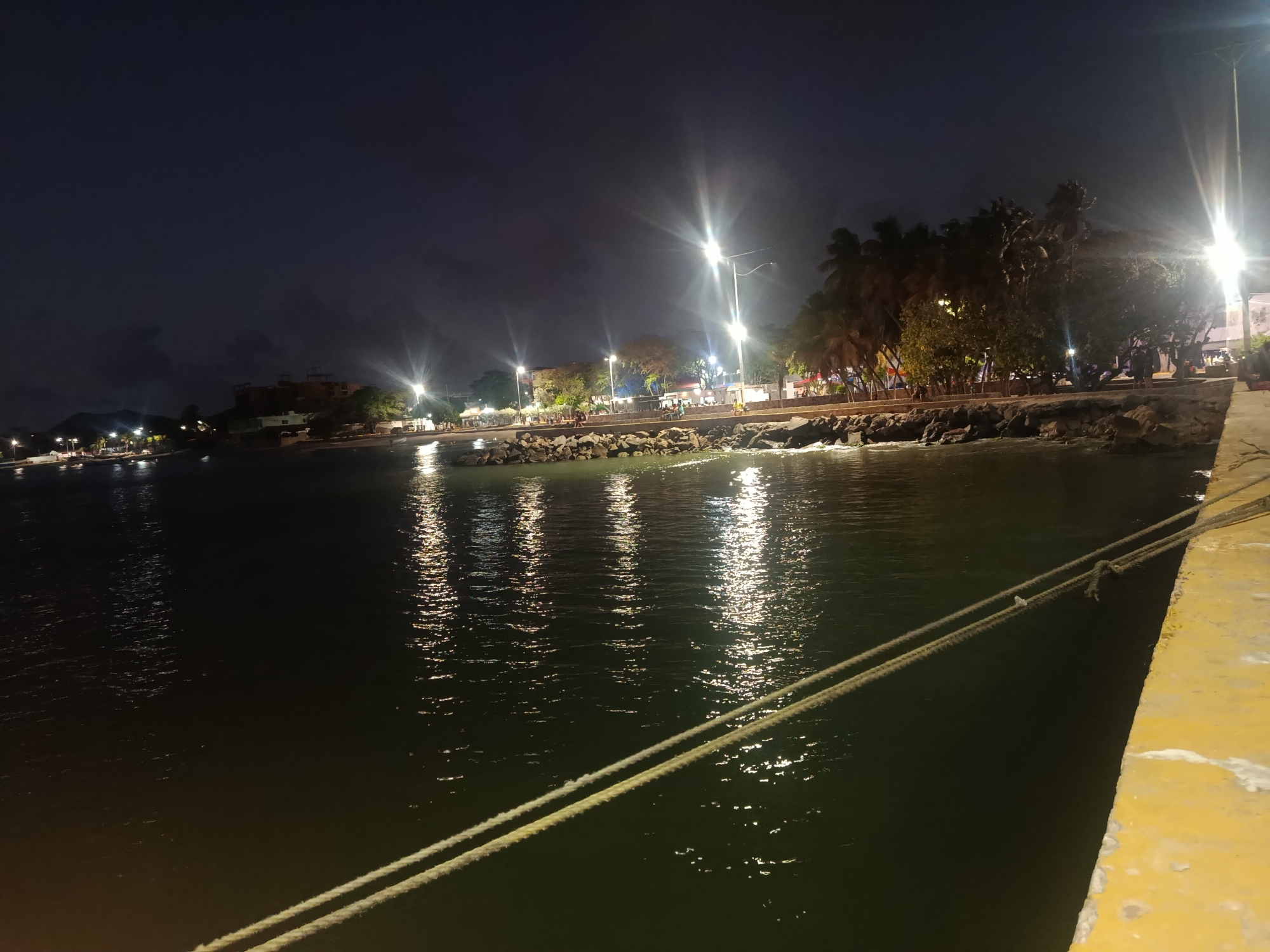 Here's a detailed description of the image:
The image captures a night scene in Juan Griego, Venezuela. It's taken from a pier or dock, with two thick ropes extending into the frame from the lower right, leading towards the water. The water, calm and dark, reflects the lights from the shore.
Along the shoreline, a line of rocks separates the water from a walkway or promenade. Trees, including palm trees, are visible along the shoreline. Streetlights illuminate the area, their reflections visible on the water's surface. Buildings can be seen in the background. The sky is a dark, cloudy expanse.