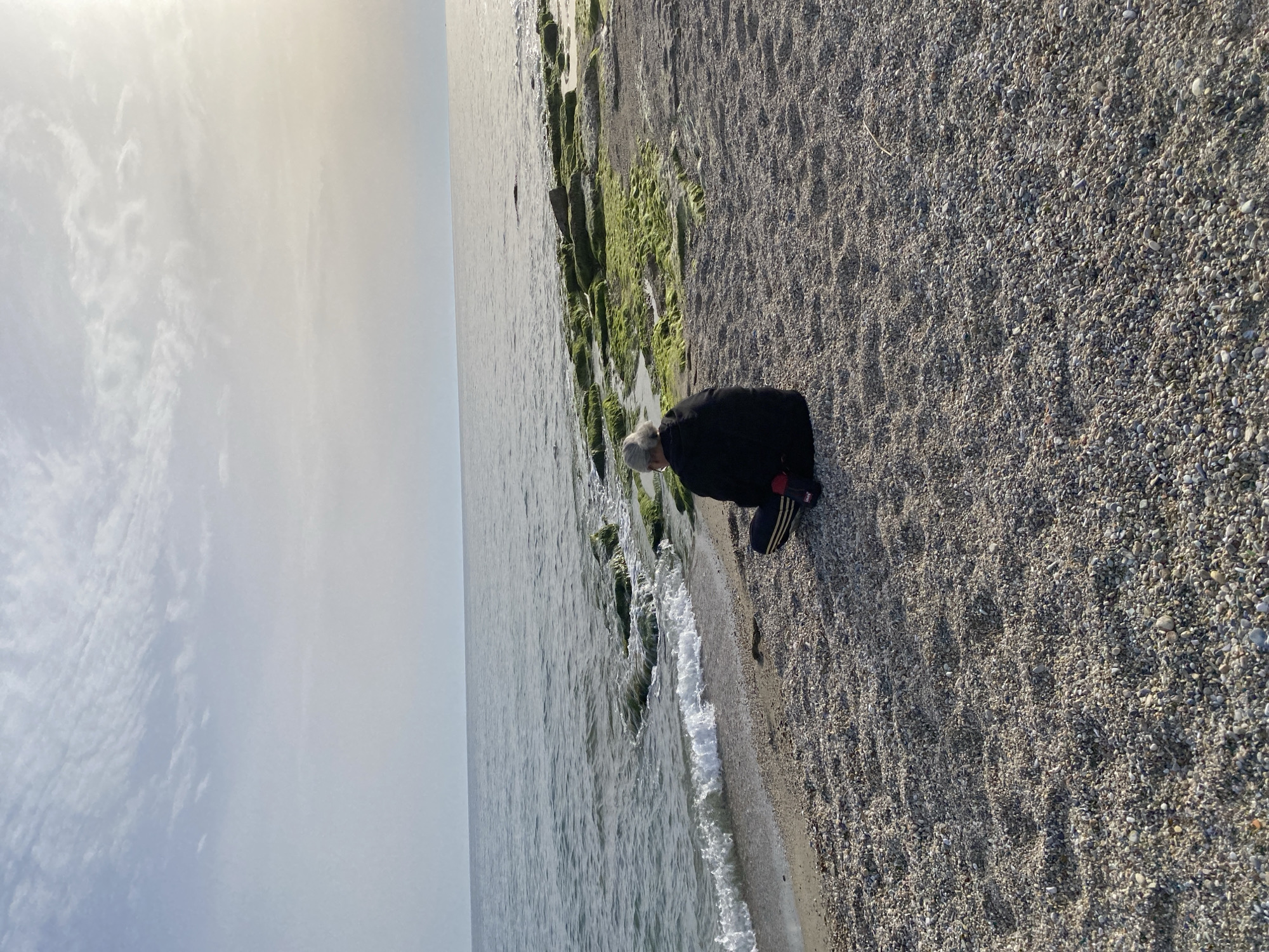 The image shows a beach scene in Alanya, Turkey. An elderly person with short, gray hair, wearing a dark jacket, is bent over near the shoreline. They are situated next to a rocky area covered in green algae. The beach is composed of small pebbles and shells. Gentle waves are visible lapping against the shore. The sky is overcast with a pale, diffused light. The water appears calm and stretches to the horizon.