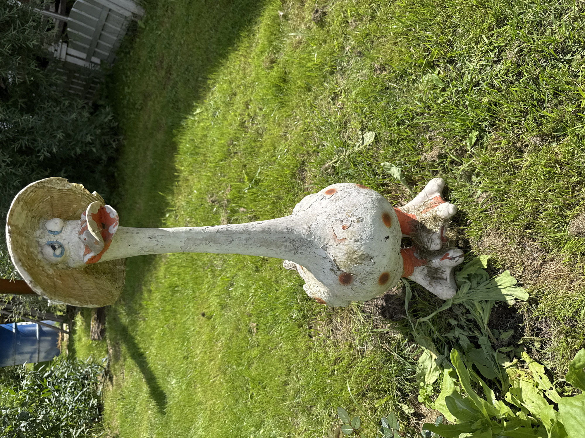 A garden gnome, designed to resemble a goose wearing a straw hat, stands on a grassy lawn. The gnome is made of concrete and is painted white with orange accents on its beak, feet, and polka dots on its body. Its eyes are blue and white. The gnome is positioned in the center of the frame, with the background showing a blue barrel, a wooden fence, and lush green vegetation. The ground is covered in green grass and some fallen leaves. The lighting suggests it is daytime, with shadows cast on the lawn. This scene is located in the city of Yesipovo, Russia.