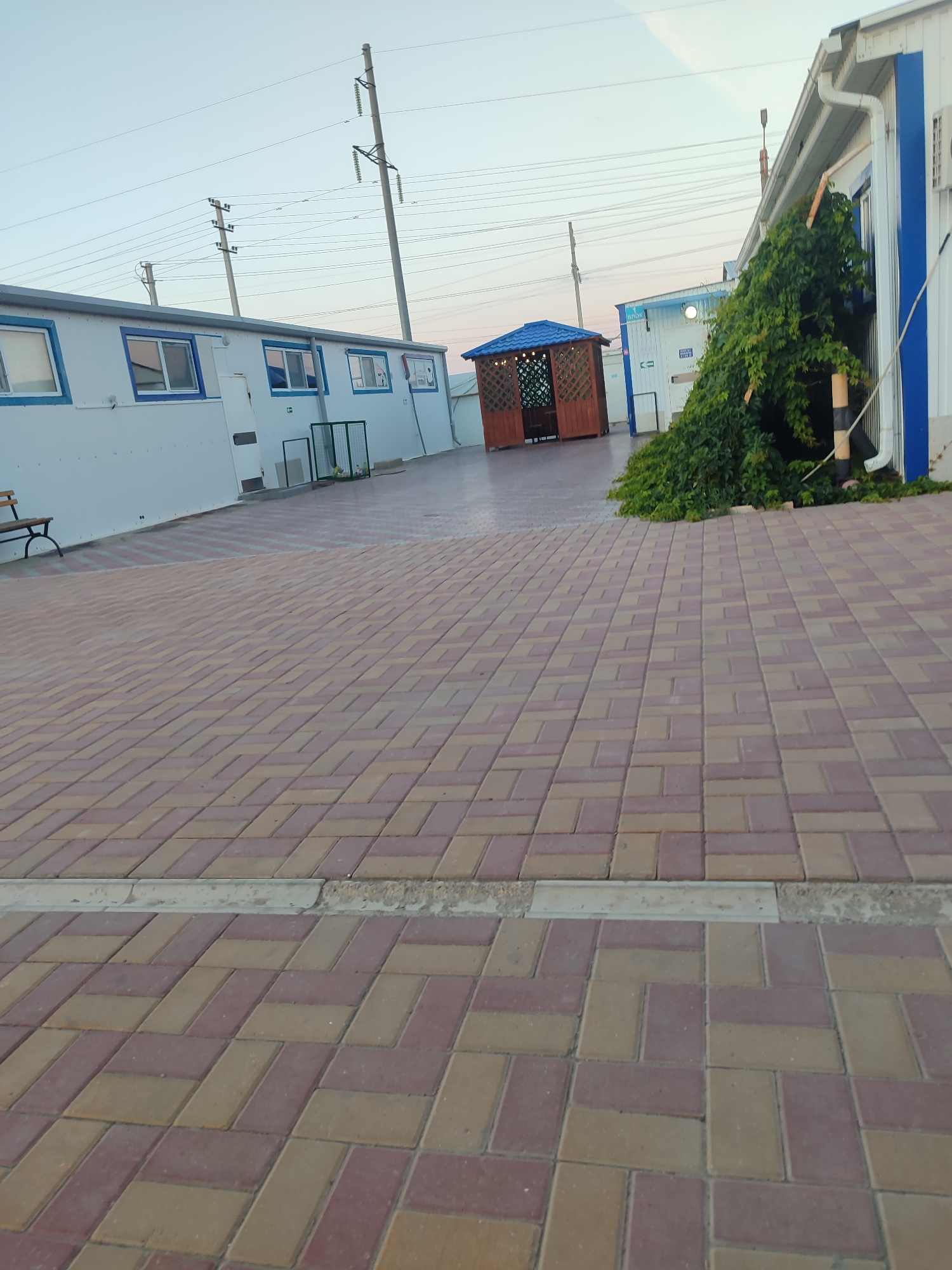The image depicts an outdoor scene in the village district of Қосшағыл, Kazakhstan. The foreground is dominated by a patterned brick pathway made of reddish-brown and beige rectangular pavers, laid in a herringbone pattern. A low concrete curb separates this pathway from a darker paved area behind it.
In the middle ground, there are several prefabricated buildings with white walls and blue trim. One building on the left has multiple windows with blue frames. To the right of this building, there is a green metal cage or enclosure. Further to the right, a wooden gazebo with a blue roof and decorative lattice sides is visible. A large, dense vine with green leaves is growing up the side of a white building on the right edge of the image, partially obscuring its features.
In the background, a clear sky with a slight haze is visible. Overhead power lines and utility poles are prominent against the sky, stretching across the frame. The overall impression is of a commercial or recreational area, possibly a small park or an outdoor amenity space within a rural or semi-rural setting. No people are present in the image.