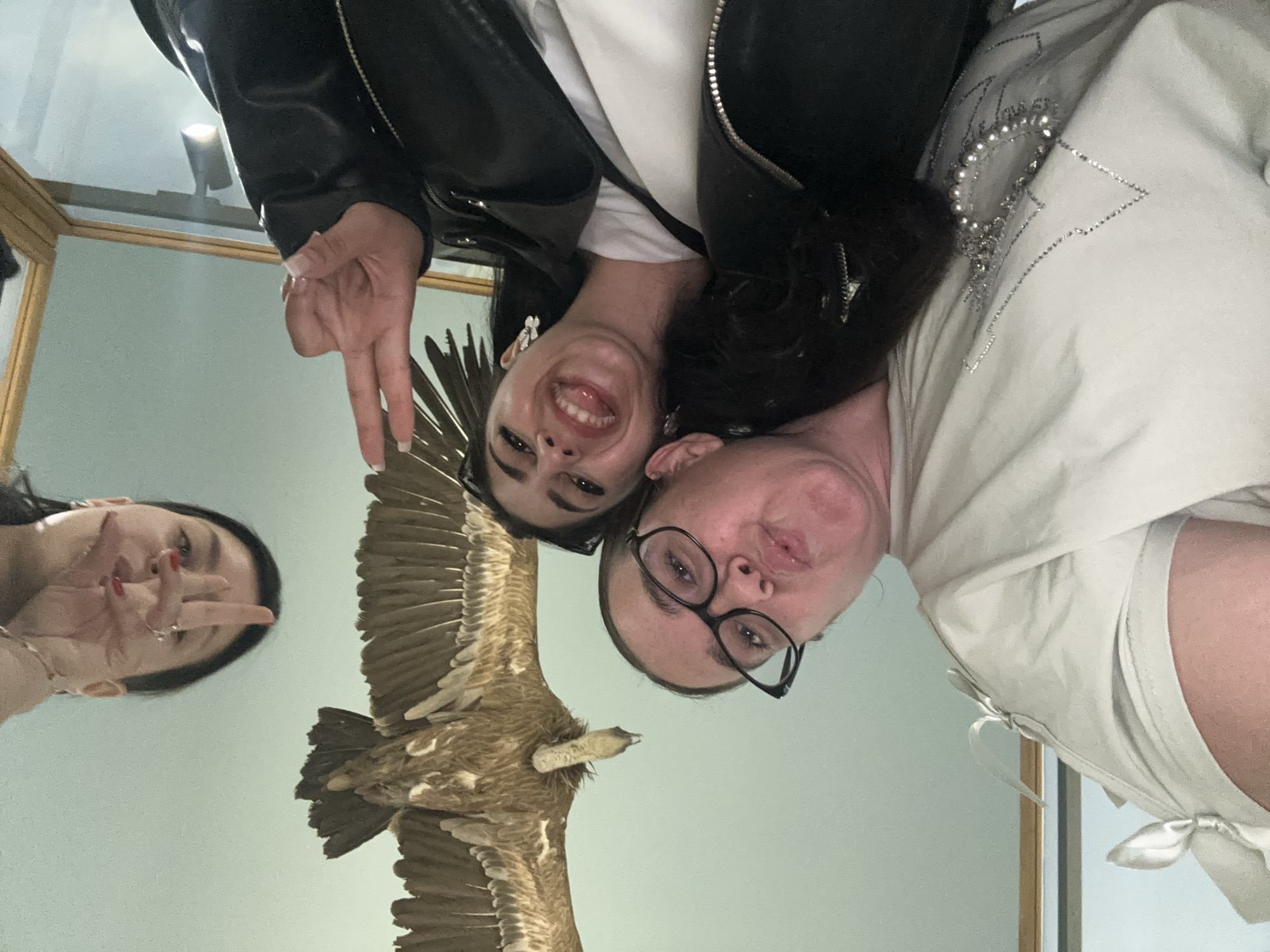 Three women stand in front of a mounted bird exhibit at the Plovdiv Museum of Natural History in Plovdiv, Bulgaria, taking a selfie. One woman on the left is making a peace sign. The woman in the middle is smiling with a peace sign. The woman on the right wears glasses and makes a kissing face. The bird is a vulture. The women are wearing casual clothing. The background is a light green wall.
