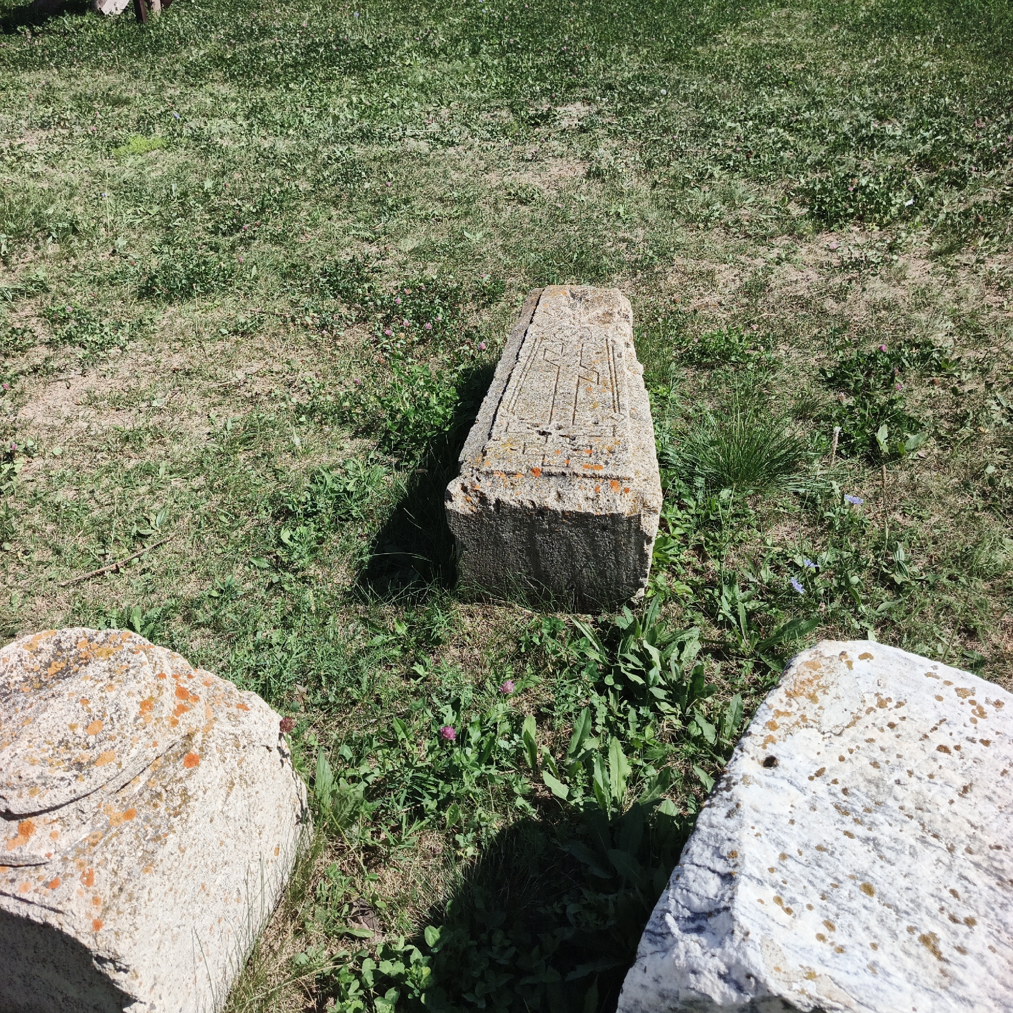 The image depicts an outdoor scene in a grassy area, likely a historical site or park, in the city of Tugustemeyr, Russia. The foreground is dominated by three large, weathered stone objects, appearing to be ancient ruins or monuments. The largest and most prominent is a rectangular stone block, standing upright and showing carved inscriptions or decorative patterns. To its left and right are two irregularly shaped, large rocks, one with orange lichen growth. The ground is covered in green grass, with some sparse patches of dry earth and scattered wildflowers, including small pink clover-like flowers and delicate blue blooms. The overall impression is one of an archaeological or memorial site in a natural, somewhat unkempt setting. There are no people visible in the image.