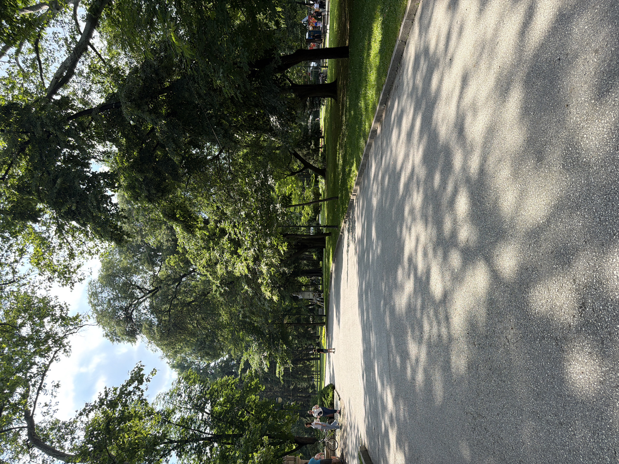 This image depicts a wide, grey asphalt pathway curving through a park in Plovdiv, Bulgaria, under sunny conditions. The path is extensively covered in dappled shadows cast by the dense canopy of large, mature deciduous trees that line both sides. The asphalt exhibits a coarse texture with minor cracks visible. A grey concrete curb separates the path from manicured green grass on either side.
In the upper left quadrant, a segment of bright blue sky with sparse white clouds is visible through the tree canopy. Numerous tall trees with vibrant green foliage frame the scene, creating a tunnel-like effect along the path.
In the left foreground, a group of four individuals is present. One person, partially obscured, wears a light blue top. Standing next to a white bicycle, two women are visible: one in a white short-sleeved top and light-colored trousers, holding a mobile phone, and the other in a white t-shirt and dark trousers, carrying a dark shoulder bag. Further down the path, centrally located, a child wearing a dark t-shirt and shorts stands facing away from the viewer.
Several dark streetlights are positioned along the path's edge. In the mid-ground, slightly to the right of the path, a white bust or statue rests on a pedestal, adorned with a white wreath or floral arrangement. A small patch of yellow flowers is visible between the path and the trees in the mid-ground. In the far right background, several indistinct human figures and park benches are discernible among the trees. The strong overhead sunlight produces high-contrast lighting, with bright highlights on the path and deep, intricate shadows.