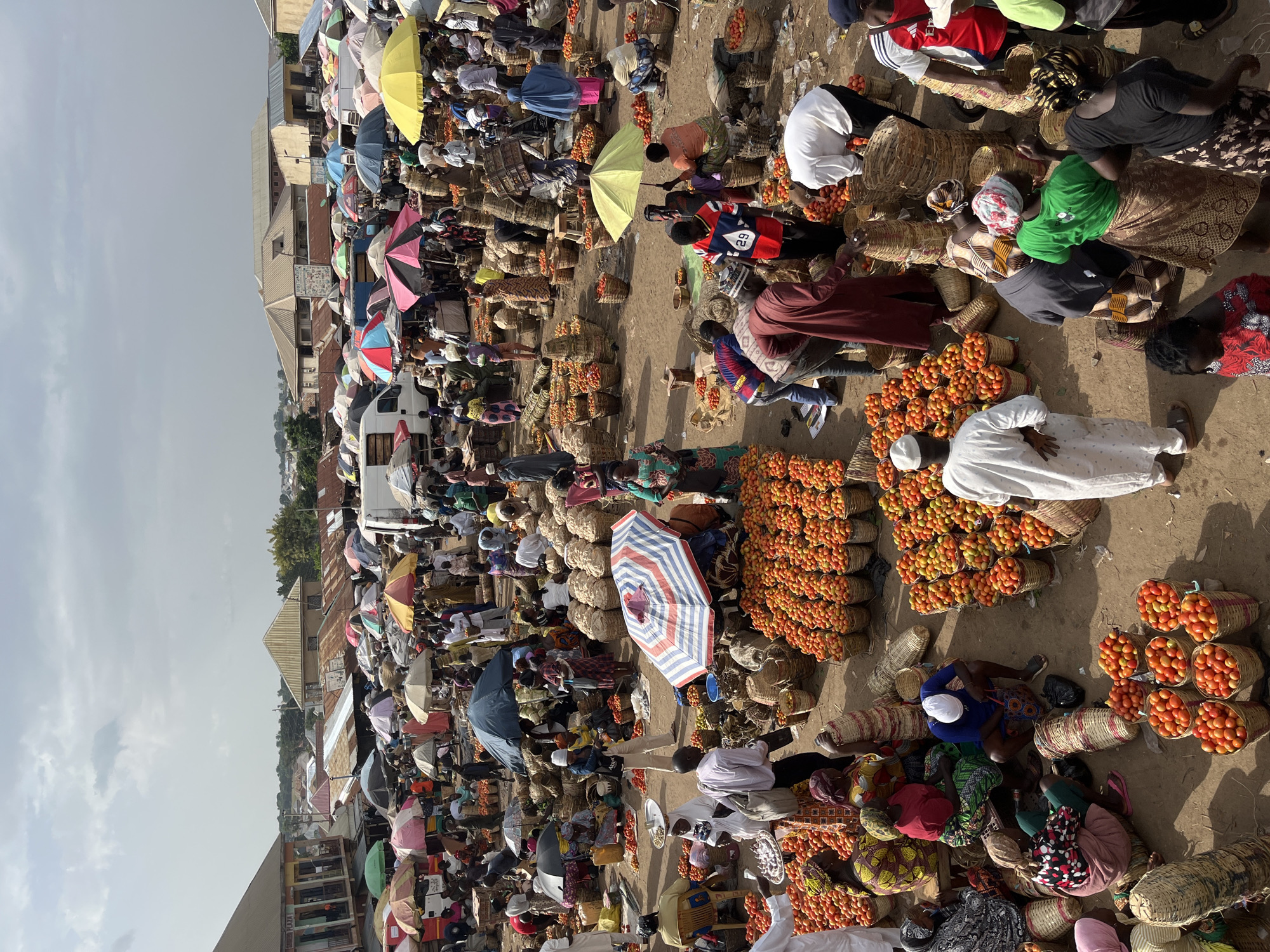 The image depicts a busy open-air market in Rafin Par, Nigeria, likely on a cloudy day given the lighting. The market is densely packed with people and vendors selling large quantities of tomatoes. Numerous stalls are covered with various colored umbrellas, providing shade. Tomatoes are prominently displayed in woven baskets and crates, forming large piles throughout the market. Many people, dressed in traditional African attire, are seen interacting with each other, examining produce, and making purchases. Some individuals are carrying baskets or loads of tomatoes. The ground is dirt, typical of an outdoor market. Buildings with corrugated metal roofs and some with more permanent structures line the background, suggesting a semi-urban or rural setting. The overall scene conveys a sense of vibrant commerce and community activity.