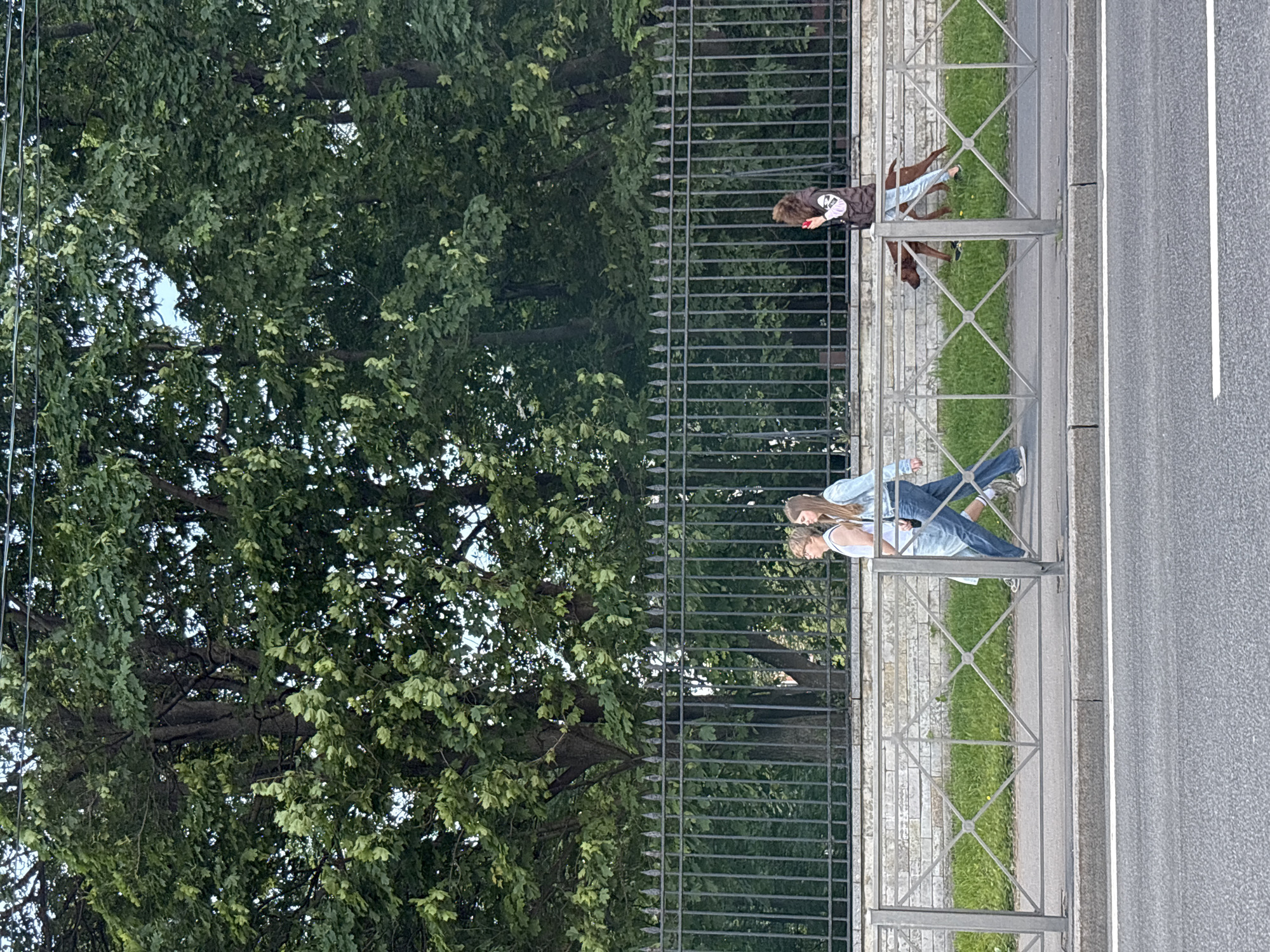 In Saint Petersburg, Russia, three people are walking along a sidewalk. The first two individuals, appearing to be women, are walking side-by-side. One is wearing a white tank top and light blue shorts, while the other is wearing a light blue denim jacket and dark blue jeans. The third person, also appearing to be a woman, is walking a brown dog on a leash. She is wearing a dark brown hooded vest over a light-colored t-shirt and light blue jeans. The sidewalk is bordered by a metal fence with a diamond pattern. Behind the fence is a low stone wall, and behind that, a dense arrangement of trees. A paved road is visible in the foreground, with a white line marking its edge. The overall scene suggests a casual outdoor setting, possibly a park or street lined with trees.