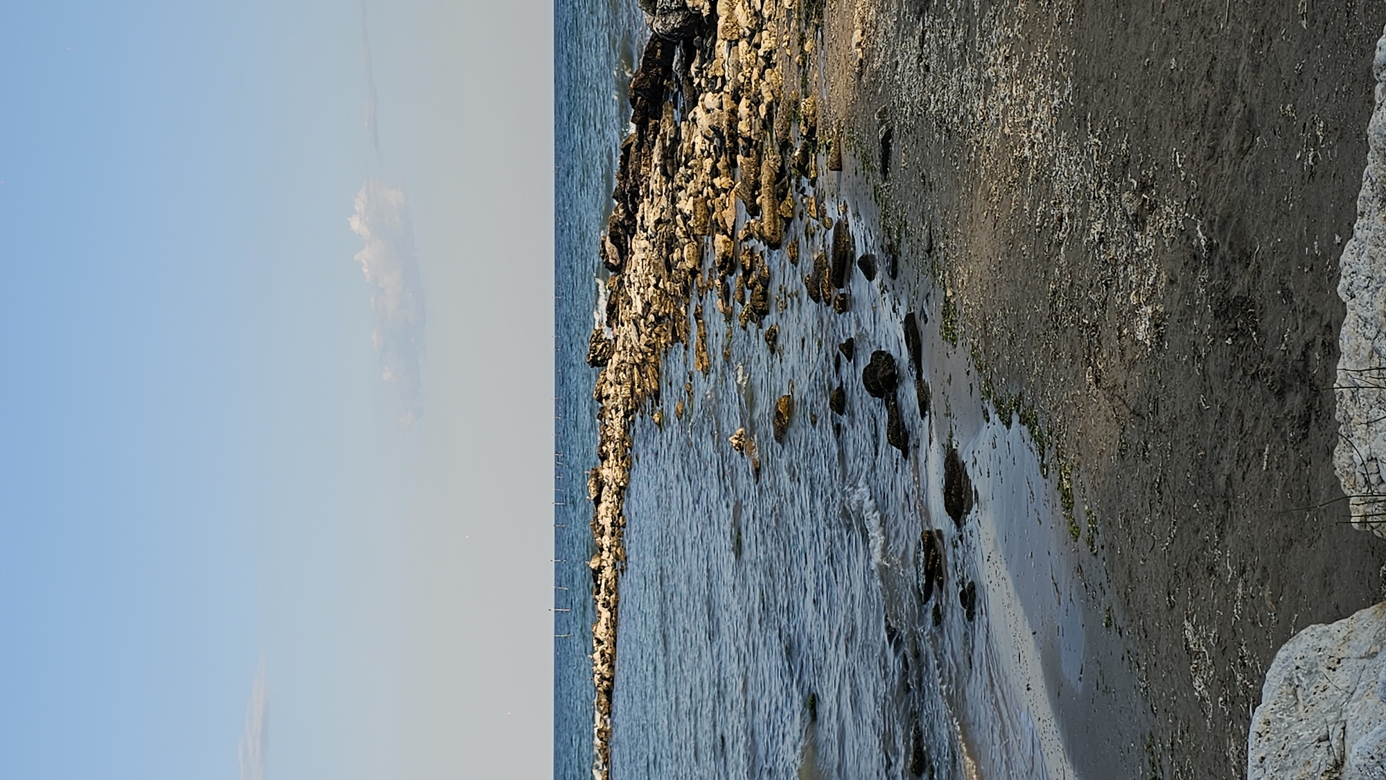 The media file displays a scenic view of the coastline at Balchik, Bulgaria. The image is oriented vertically, with the sky dominating the left half and the sea and shore on the right. The sky is a clear, pale blue, with a single, wispy cloud visible in the distance. The sea is a calm, deep blue, with gentle waves lapping at the shore. The shore itself is a mix of dark sand and rocks, with some seaweed visible. A line of rocks forms a breakwater or natural barrier between the sea and the shore. The lighting suggests it is daytime, likely late afternoon or early evening, given the warm, golden tones on the rocks. There are no people or animals visible in the frame. The overall mood is peaceful and serene, highlighting the natural beauty of the coastal landscape.