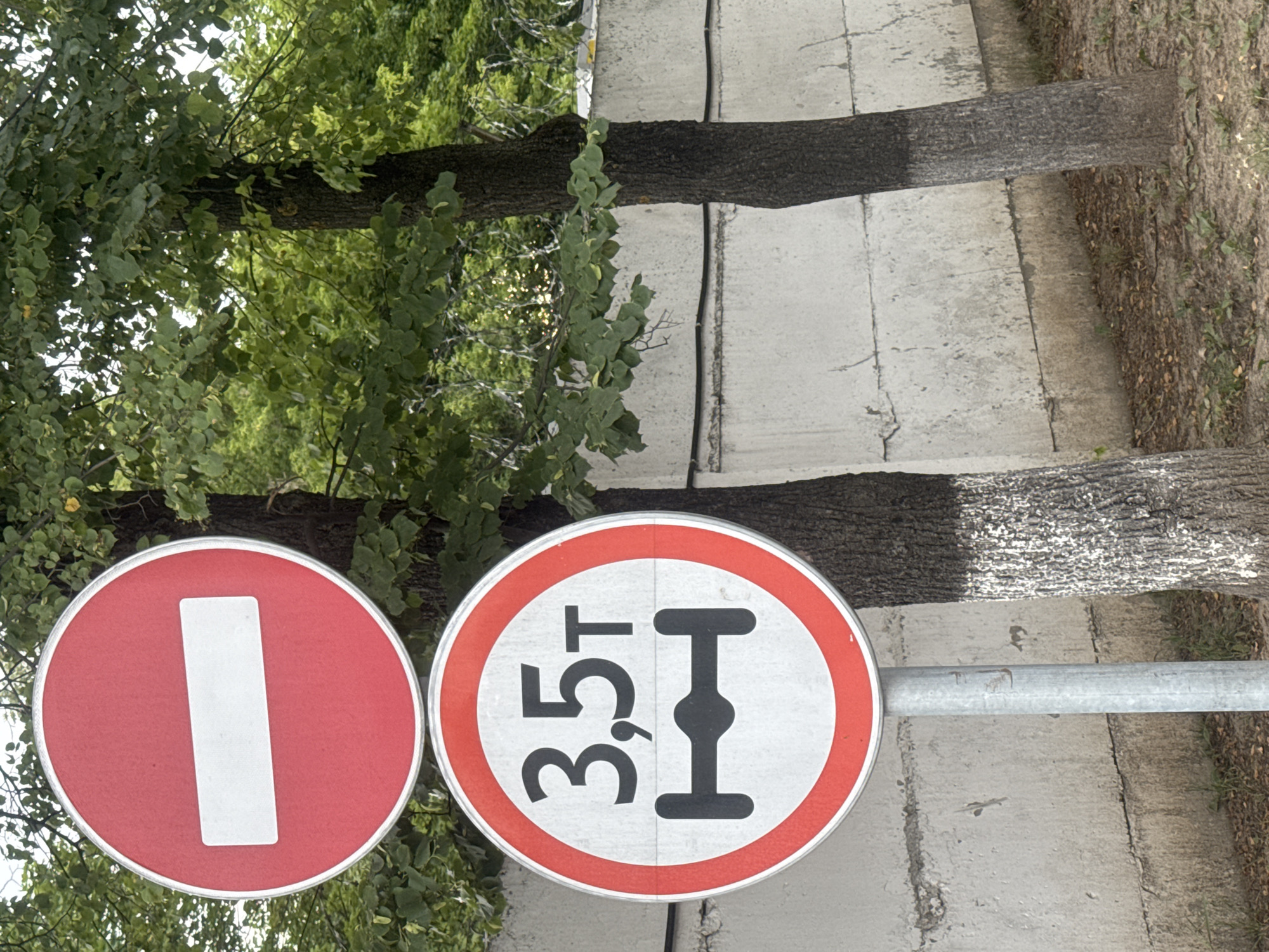 In Dedovsk, Russia, two traffic signs are mounted on a single metal pole. The upper sign is a red circle with a white horizontal bar, indicating "Do Not Enter." Below it, a circular sign with a red border displays "3.5T" and a graphic representation of an axle with a load limit. Both signs are positioned in front of a concrete wall and two trees with white-painted bases. The background features dense green foliage.