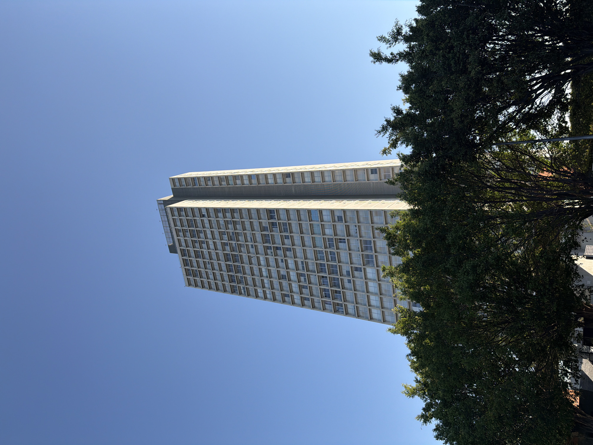 The image captures a tall, multi-story building towering against a clear, vibrant blue sky. The building, oriented vertically in the frame, features a light-colored facade, possibly concrete or stone, characterized by a repetitive, grid-like pattern of numerous windows spanning its many floors. The upper sections of the building exhibit slight architectural variations or setbacks.
A large, leafy tree occupies the right side of the composition, its dense, dark green foliage and prominent branches partially obscuring the building's edge. The scene is bathed in bright daylight, indicating a sunny day, likely midday or early afternoon, given the intensity of the light and the absence of clouds in the sky. No discernible activities or people are present, focusing the view on the architectural structure and natural elements. There is no visible text in the image. The setting is an urban environment in Puebla, Mexico.