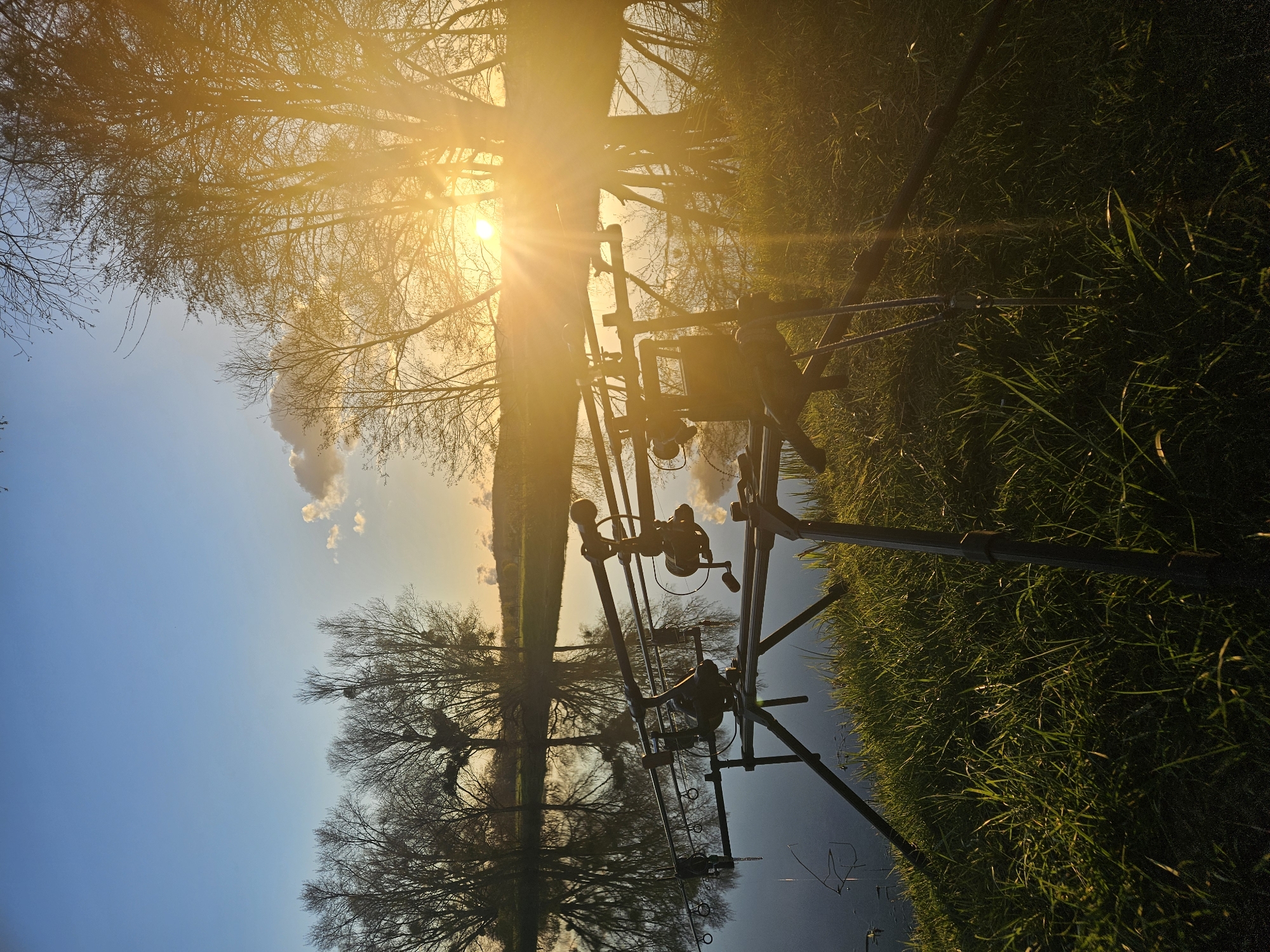 The image is an upside-down view of a lakeside scene. The upper portion of the image shows a clear blue sky with a few white clouds. Silhouetted tree branches extend from the upper right, with the sun shining through the leaves, creating a bright flare. The lower portion of the image is a reflection of the upper portion in the calm water. A fishing rod stand with multiple rods and reels is positioned in the middle ground, silhouetted against the sun and reflection. Green grass is visible on the right side of the image, likely on the bank of the lake. The location is likely Gavisse, France, due to the prompt.