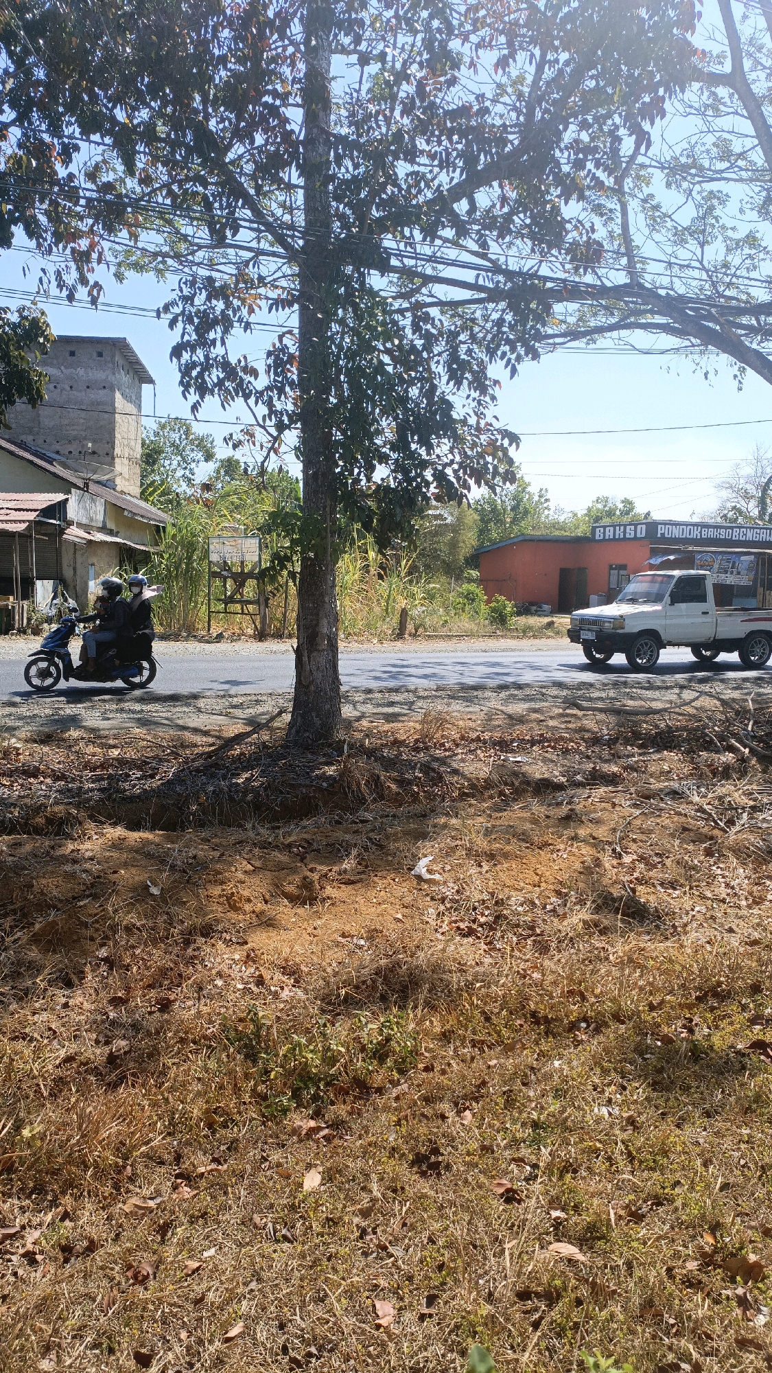 In Desa Pabahanan, Pelaihari, Tanah Laut, Indonesia, a rural road passes through a dry, vegetated area under a clear blue sky. On the left side of the road, a light-colored building with a corrugated roof and a concrete upper structure stands adjacent to a smaller dwelling. Further down the road, two individuals wearing helmets are riding a blue motorcycle. On the right side of the road, a white pickup truck is parked in front of a building with an orange facade and the signage "BAKSO PONDOK BAKSO BENGALU". A large tree with sparse leaves is positioned in the foreground, casting shadows on the dry, brown, and orange-hued ground which is covered in dead grass and fallen leaves. The environment suggests a warm, dry climate.