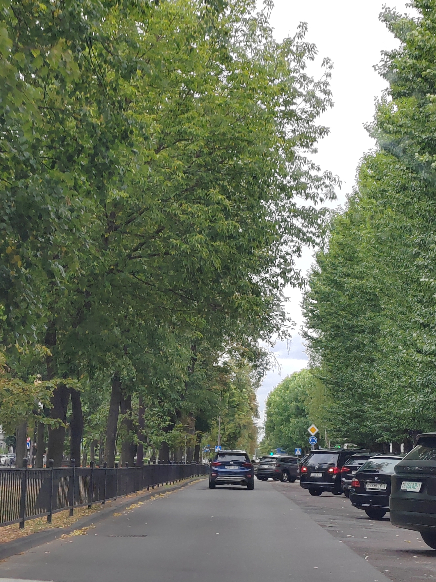 The image captures a street scene in Brest, Belarus, lined with mature trees on both sides, creating a canopy over the roadway. On the left side of the street, a black metal fence runs parallel to the road, with a sidewalk and more trees behind it. Several cars are parked along the right side of the road, including a dark blue SUV at the front, followed by several black SUVs and sedans. Some of these vehicles have visible license plates. Traffic lights and street signs are visible in the distance, indicating an intersection. The road surface appears to be asphalt, and fallen autumn leaves are scattered along the roadside. The sky is overcast, suggesting a cloudy day.