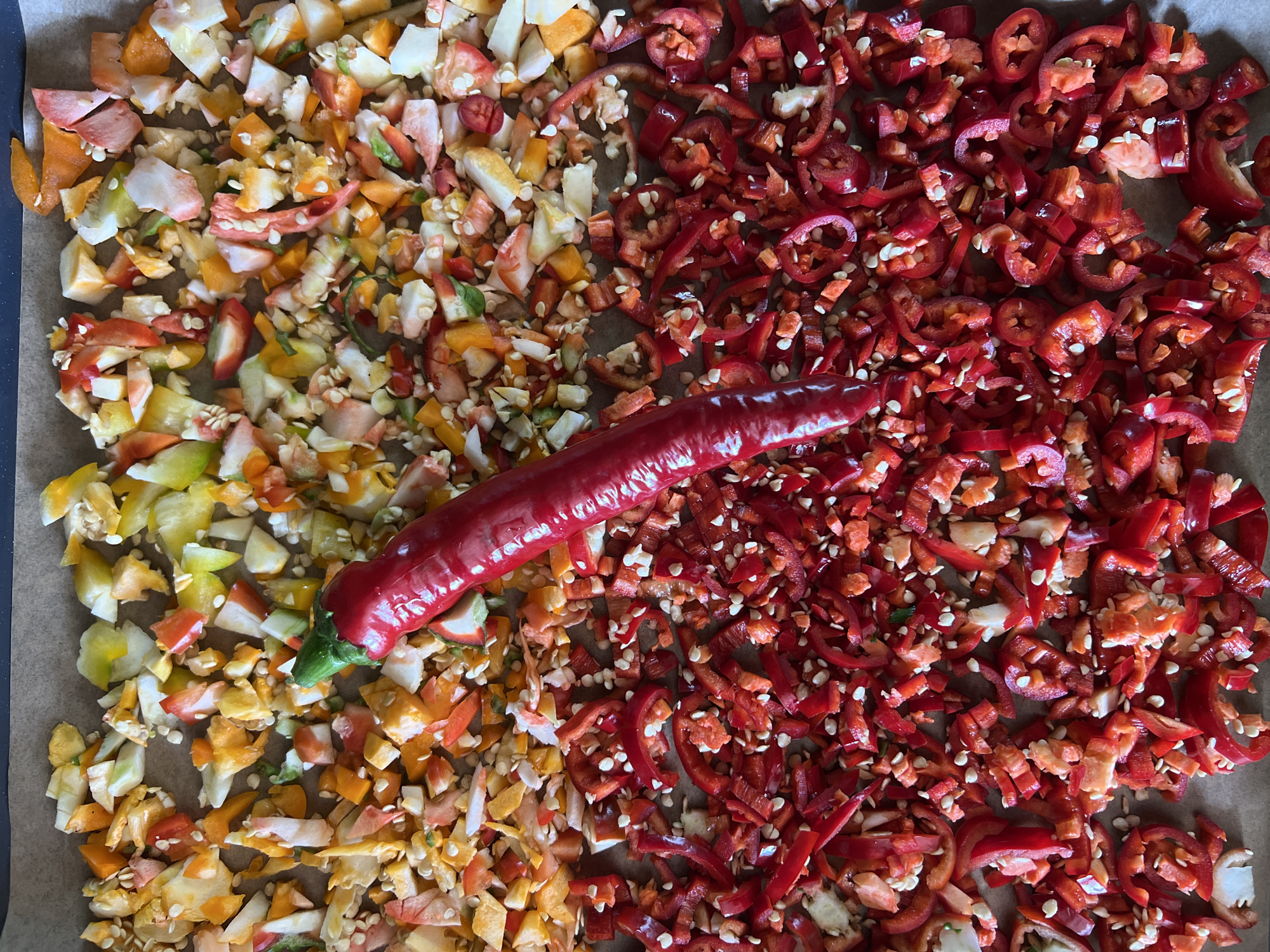A close-up, top-down shot shows a baking sheet lined with parchment paper. The sheet is covered with chopped mixed peppers and a single whole red chili pepper lying diagonally across the center. The peppers are a mix of red, orange, yellow, and white, with some seeds visible. The scene is set in Tolyatti, Russia, likely in a kitchen preparing food. There are no people or animals present in the image.