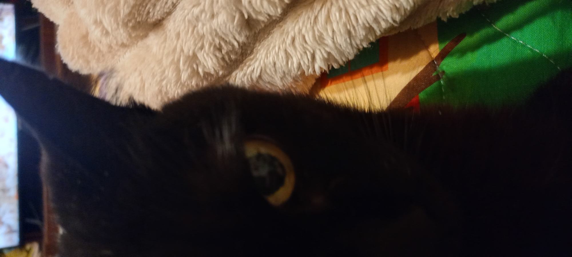 An indoor scene depicts the right side of a black domestic cat's face in the foreground, looking towards the viewer. The cat's fur is predominantly dark, obscuring specific facial features except for a prominent right eye (viewer's left), which displays a circular amber-yellow iris with a dark, dilated pupil reflecting a light source. Whiskers are visible extending from the lower right cheek area.
To the right of the cat, a light-colored, highly textured, fluffy fabric object, likely a blanket, is partially visible, appearing to cover or be adjacent to the cat. Below the cat and the fluffy fabric, a second textile object with a distinct geometric pattern is present. This pattern includes sections of green, orange/yellow, and brown, with visible stitching lines.
In the blurred background, an illuminated electronic display, possibly a television screen, is visible, showing indistinct light-colored shapes against a darker area. The overall lighting is dim, emphasizing the cat's eye. This scene is located in the city of Kryvyi Rih, Ukraine.