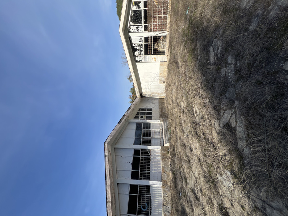 The image displays an exterior wide shot of a dilapidated, possibly abandoned building complex situated in Stoianovo, Bulgaria, under a clear, cloudless blue sky. The complex consists of at least two single-story sections. The left section presents a white-painted facade with a sloped roof and multiple rectangular window openings fitted with white metal grates, one of which exhibits a partial blue circular graffiti mark. A small set of three concrete steps ascends to a central doorway, also secured by a white metal gate. The base of this section features irregular stone cladding. The right section, adjacent to the left, also has a white-painted facade, but shows significant peeling paint and more extensive damage to its larger window openings, with many panes missing and replaced by rusted or damaged metal grates that reveal dark interiors. The ground in the foreground is unkempt, covered in dry, brown, and yellowish grass and weeds, intermingled with irregular grey flagstone or concrete paving. In the background, beyond the structures, dormant trees and a natural elevation are visible. No individuals, animals, or active vehicles are present.