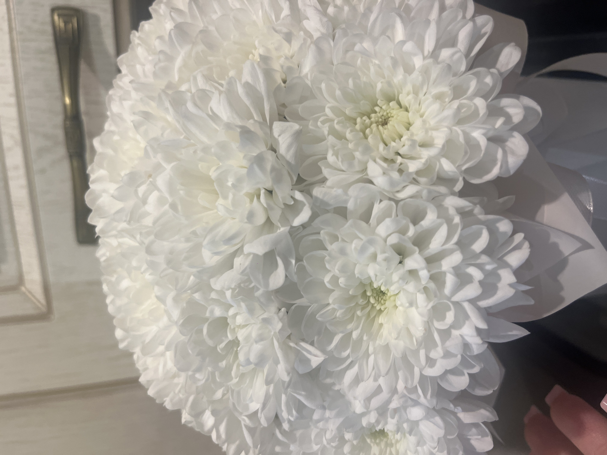 A close-up, low-angle shot captures a large bouquet of white chrysanthemums. The flowers are densely packed, forming a rounded arrangement with delicate, layered petals. The center of each bloom reveals a pale green or yellow hue. The bouquet is presented in a white container, partially visible at the bottom, adorned with white ribbon. In the background, a light-colored wall with subtle horizontal lines and a golden drawer pull is visible, suggesting an indoor setting, possibly a room with decorative paneling. A person's hand with painted fingernails is visible on the lower left edge of the frame, gently touching the edge of the bouquet. The lighting is soft and diffused, highlighting the textures of the petals and casting gentle shadows. There is no indication of the location in Tyumen, Russia.