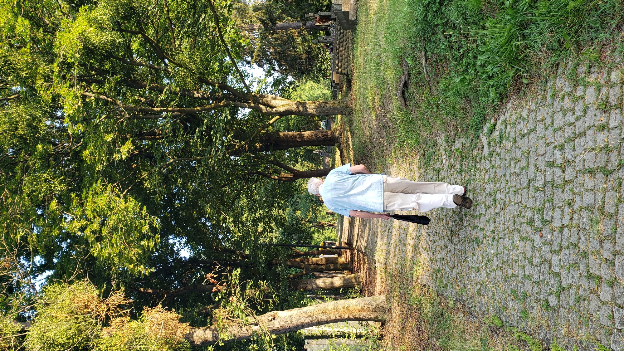 An elderly man with white hair is walking away from the camera on a cobblestone path in a cemetery. He is wearing a light blue short-sleeved shirt and beige pants, and he is carrying a dark bag in his right hand. The path is lined with trees and grassy areas with tombstones visible to the right. The scene is set in a cemetery in Prešov, Slovakia, likely during daylight given the lighting.
