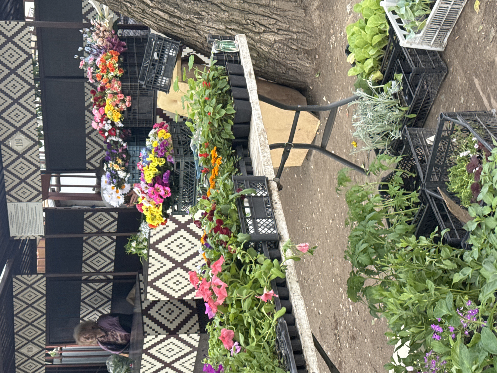 The image shows a flower stall at a market. The stall is set up in front of a building with a distinctive brown and white geometric patterned exterior. An elderly woman is sitting inside the stall.
A table is positioned to the side, displaying a variety of potted plants and cut flowers in black plastic crates. The plants and flowers display a range of colors, including red, pink, purple, orange, yellow, and white.
The ground is dirt or gravel. A tree trunk is visible behind the table. The location is likely Perm, Russia.