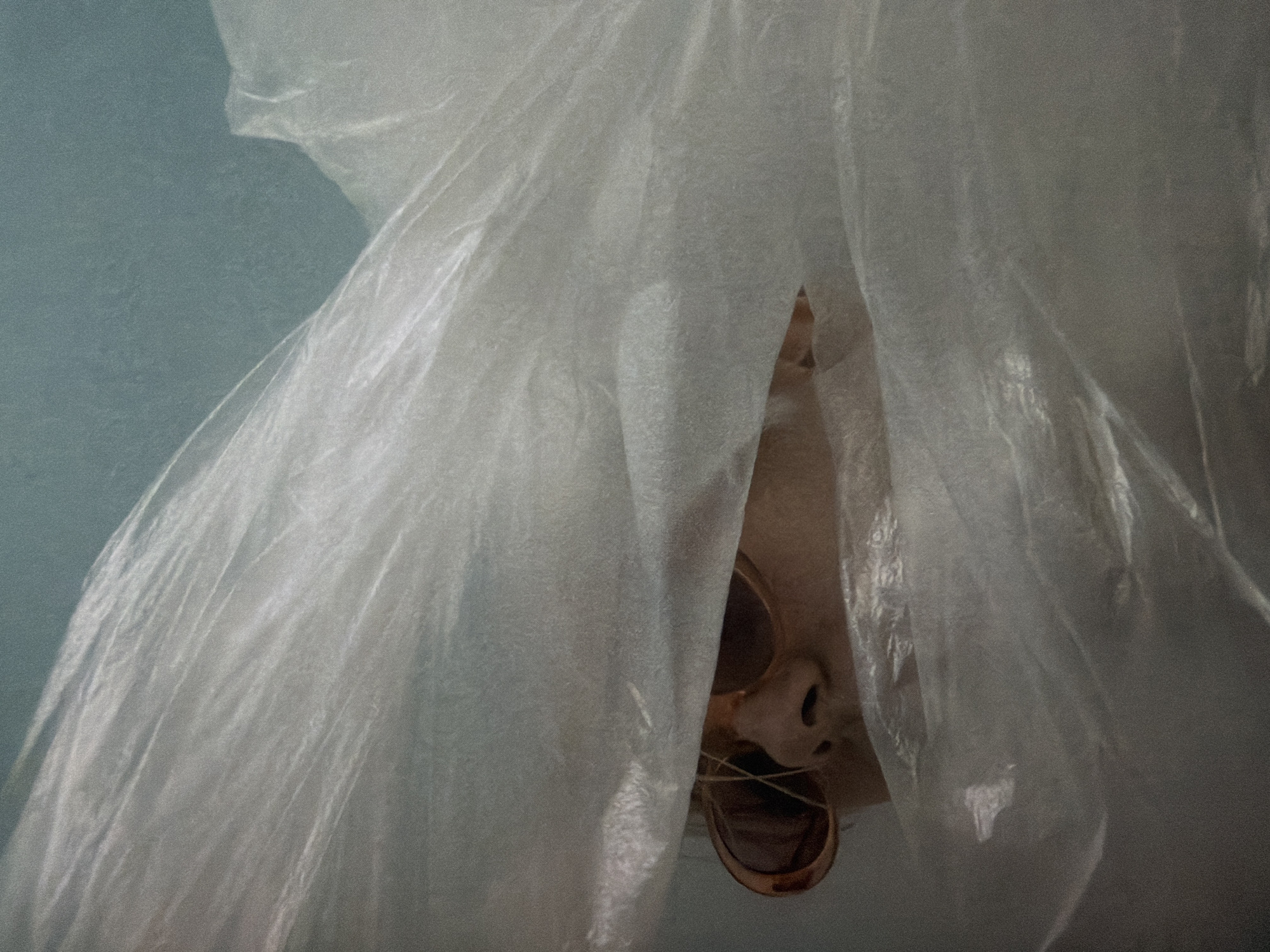 A person wearing sunglasses is partially visible behind a transparent plastic sheet, peeking out from the folds. The background is a solid, muted teal color. There are no discernible elements that indicate the location is Kyiv, Ukraine. The image appears to be an artistic or conceptual photograph rather than a depiction of a specific real-world scene.