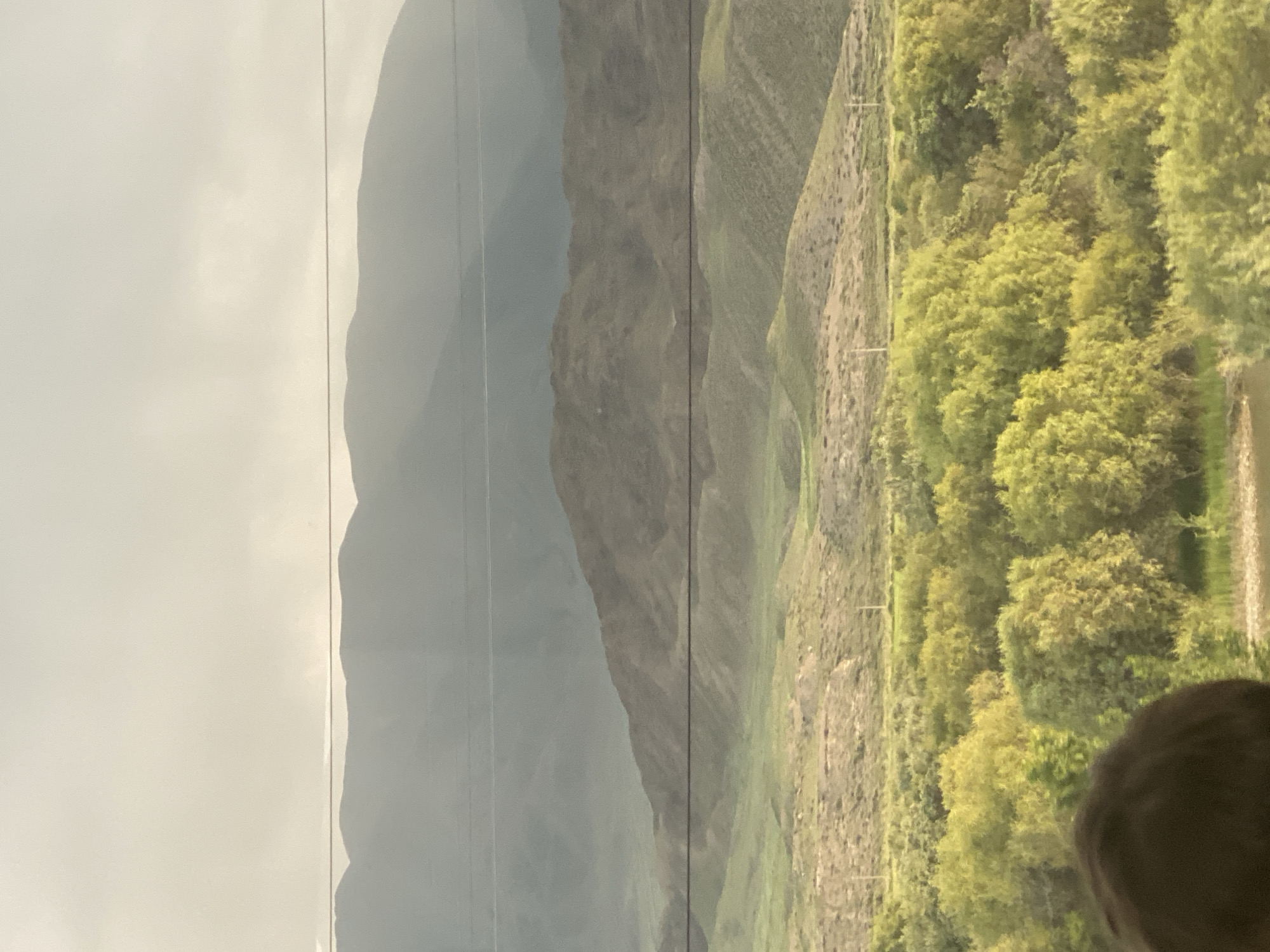 The image captures a layered landscape of mountains and greenery, viewed from a slightly elevated perspective. In the foreground, the back of a person's head is visible, suggesting the viewer is looking out from a vehicle or building. Beyond the person, a dense expanse of trees with bright green foliage dominates the midground. These trees are situated on a relatively flat terrain. Behind the trees, rolling hills of a lighter green and brown hue stretch into the distance. Further back, a series of mountain ranges are visible, progressively fading into a hazy, muted gray and brown palette, indicating significant distance. The sky above is overcast with a bright, diffused light, suggesting either early morning or late afternoon. A thin, dark horizontal line, likely a wire or cable, runs across the frame, intersecting the mountain ranges and the sky. The overall scene depicts a natural, outdoor environment with signs of human presence in the foreground.