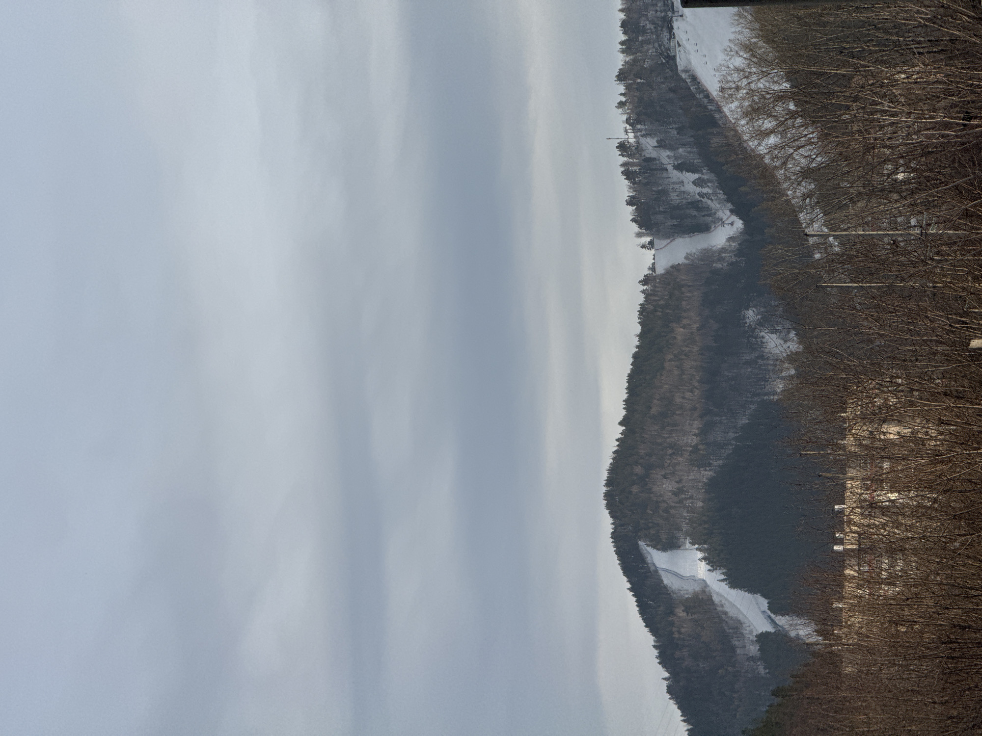 The image shows a ski slope on a hillside, with the bare branches of trees in the foreground. The sky is overcast. Patches of snow are visible on the slope. The location is likely in or near the city of Krasnoyarsk, Russia.