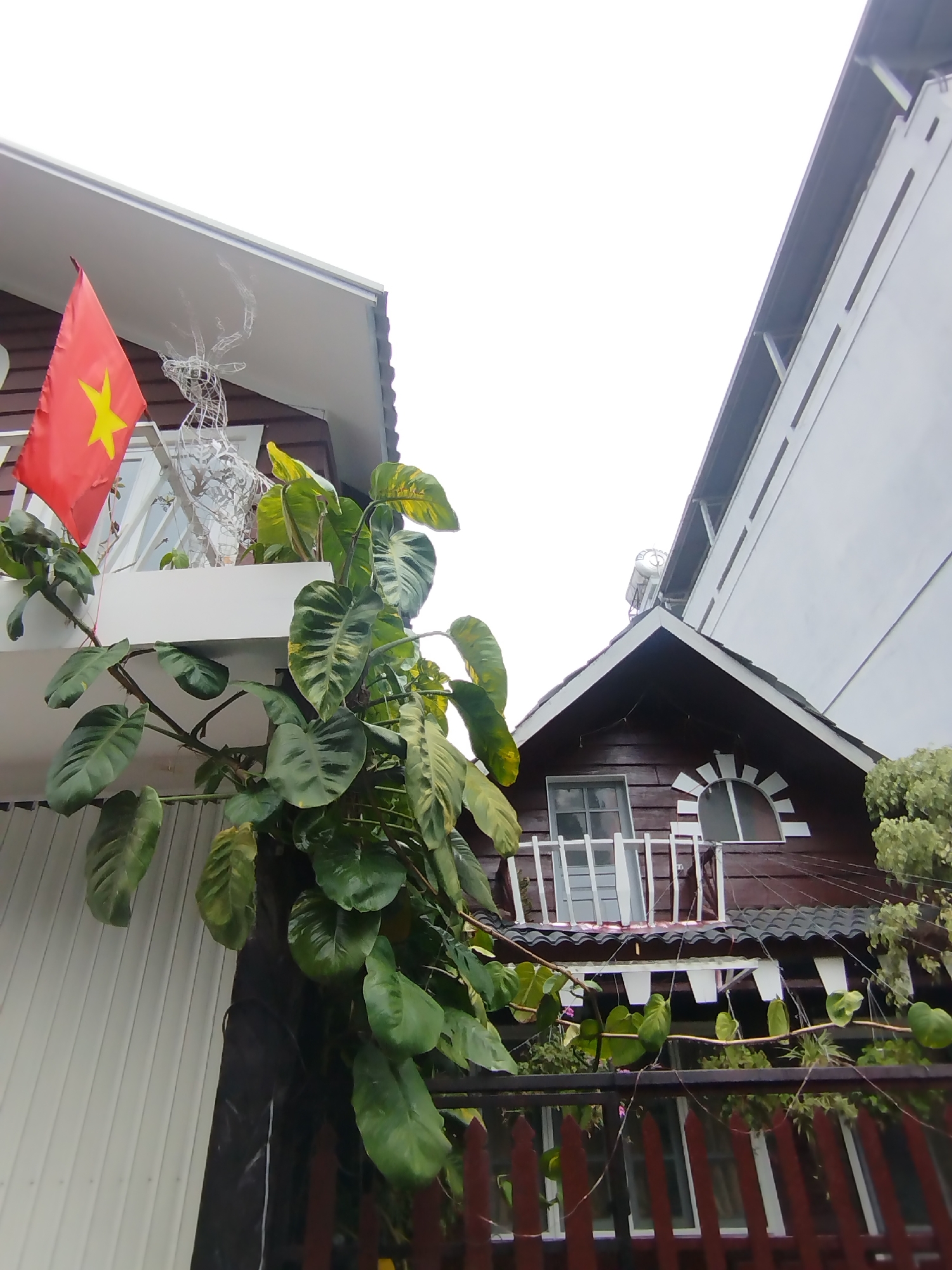 The image shows two buildings and a Vietnamese flag. The building on the left has white siding with a balcony. The flag is red with a yellow star. A wire reindeer decoration stands on the balcony, surrounded by greenery. A brown building with a gabled roof stands behind the building on the left. The brown building has a white balcony and a rounded window, and a water tank is visible on the roof. A tall, white building looms in the background. Green vines grow over the lower building and around the fence. The scene appears to be in Da Lat, Vietnam, based on the presence of the Vietnamese flag and the local architecture.