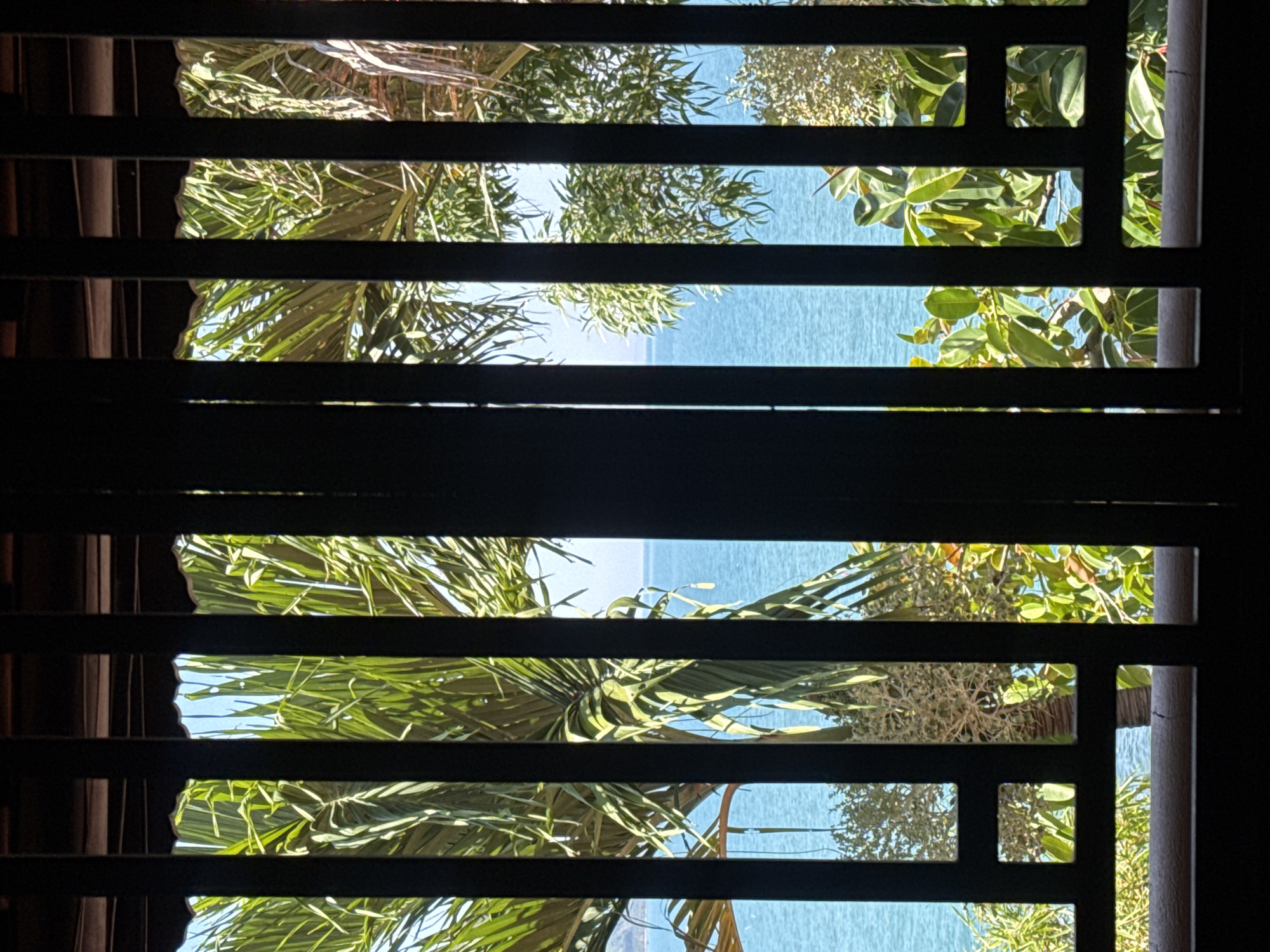 The image shows a view of the ocean through a wooden lattice window. Lush green palm trees and other tropical foliage are visible in the foreground and midground, with the calm blue ocean stretching out to the horizon. The sky is a clear, bright blue. The overall impression is one of a serene tropical setting.