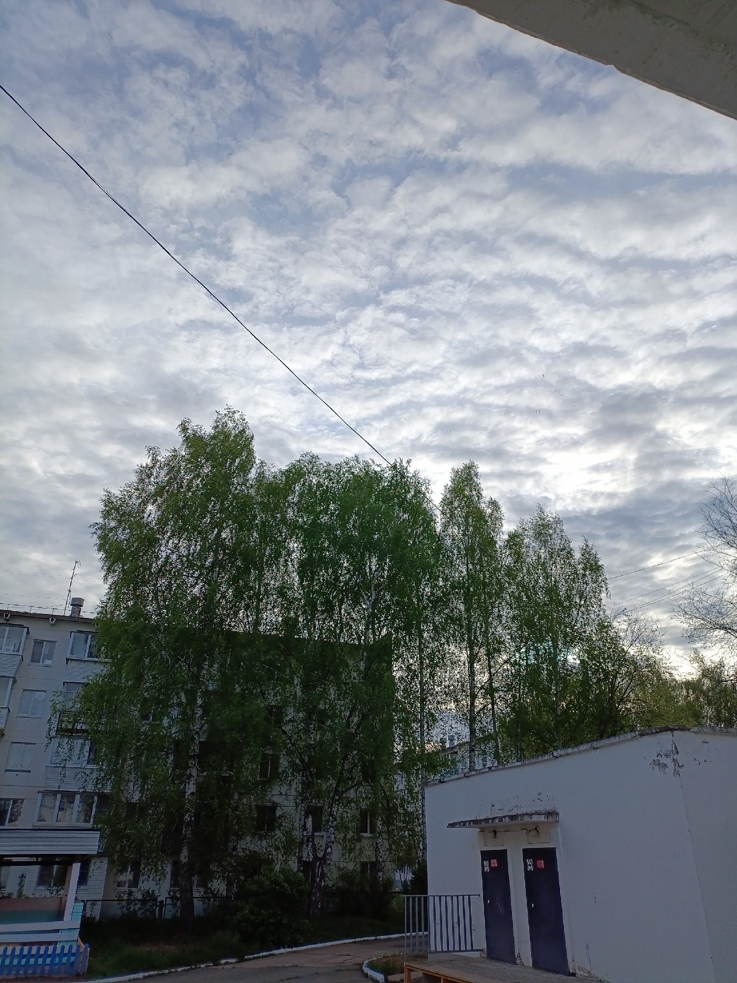 The photograph shows a cloudy sky above a scene in Chaikovsky, Russia. In the foreground, there is a row of tall birch trees with green leaves that obscure part of an apartment building. To the right of the trees, there is a small, white, rectangular building with two dark doors. A black wire stretches across the sky from the upper left to the center of the frame. The clouds are streaky and white-grey, with patches of blue sky visible.